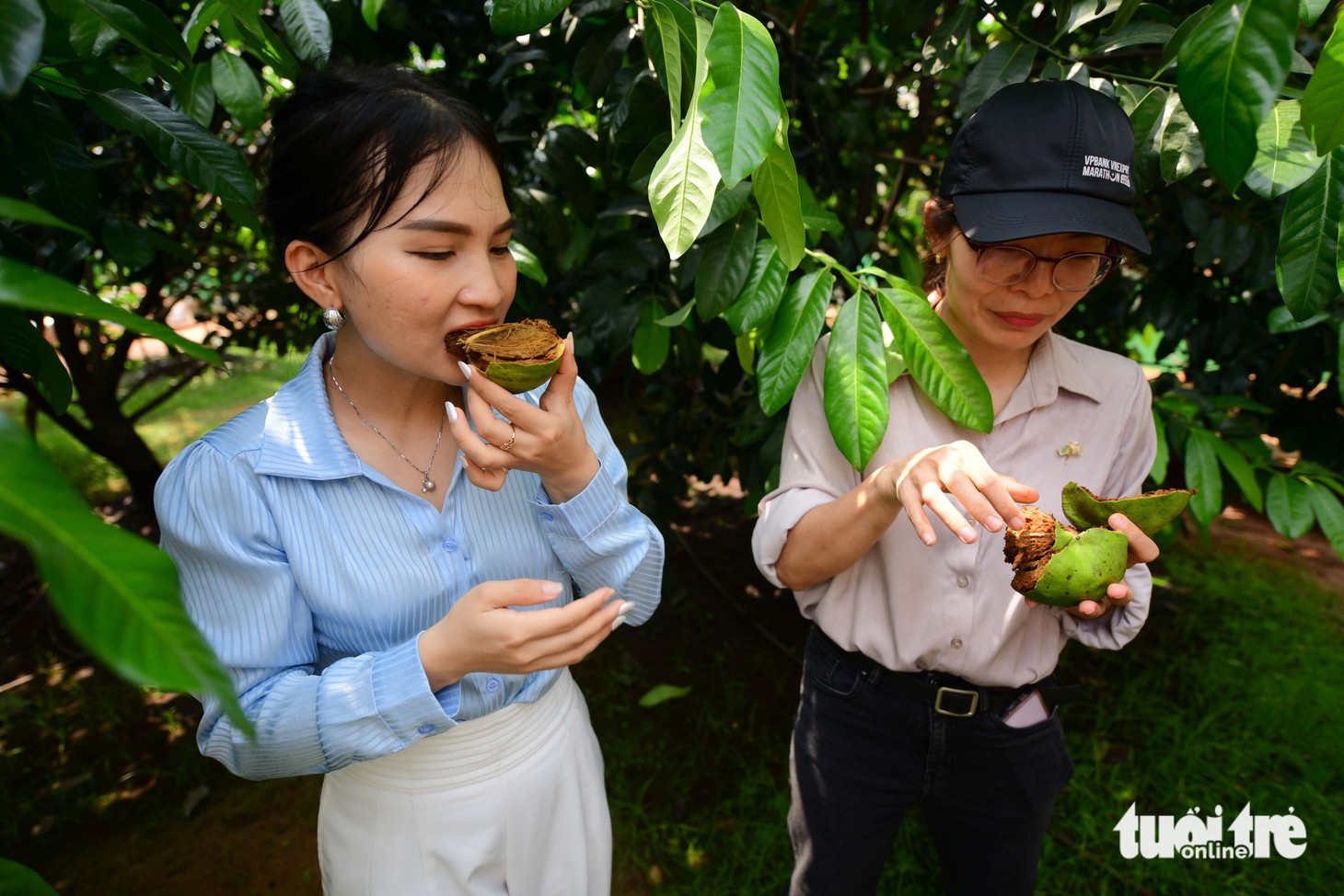 Cuối tuần, trải nghiệm vườn nho, nông trại xanh giữa lòng thành phố - Ảnh 9.