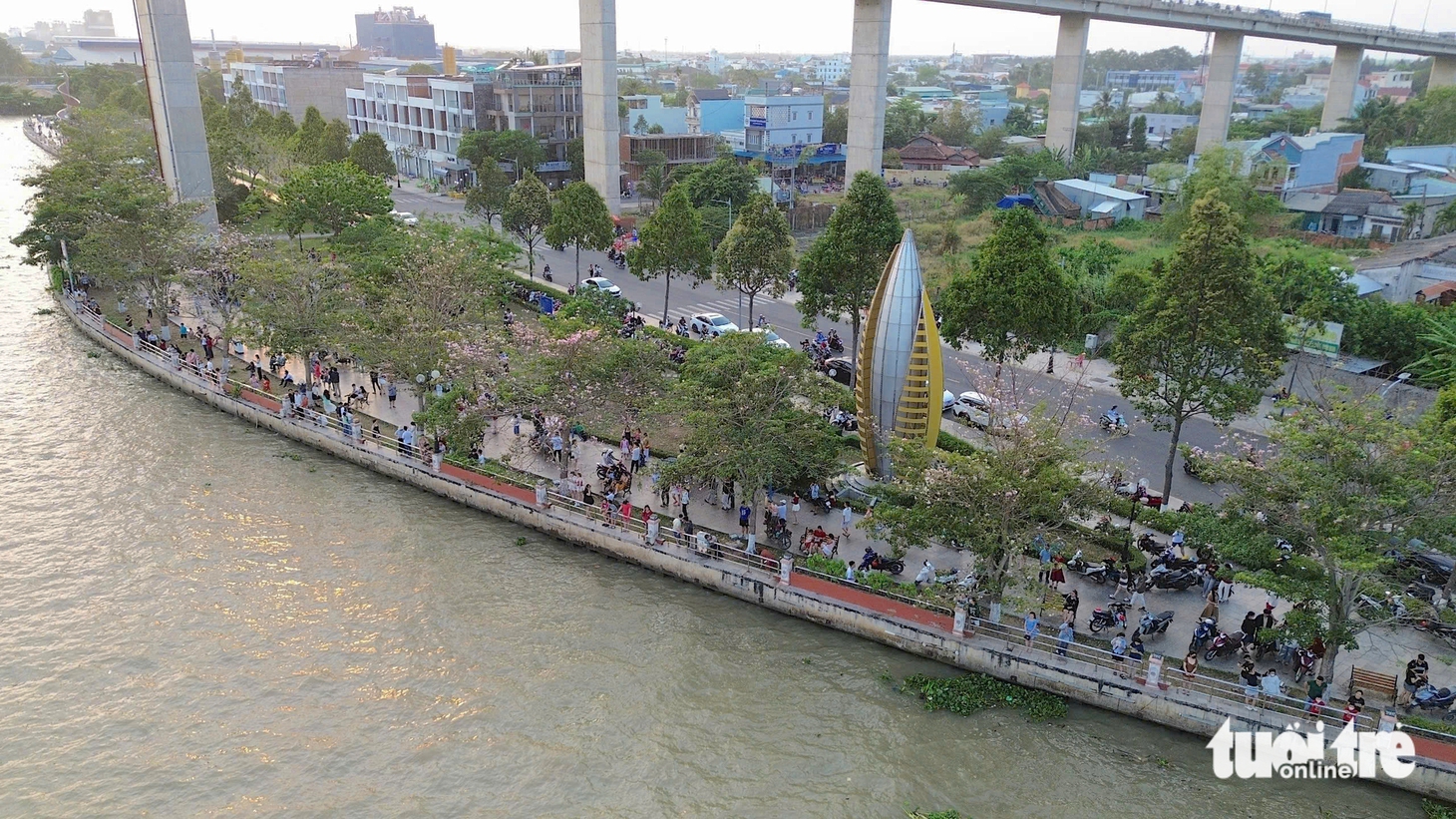 Người dân thích thú với hàng hoa kèn hồng bên dòng sông Tiền - Ảnh 8.