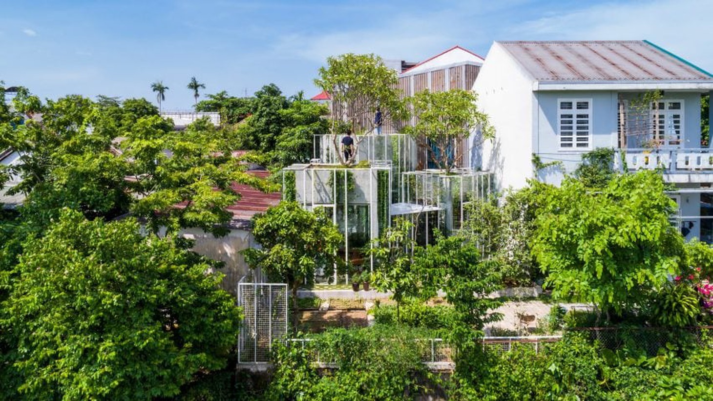 Ngôi nhà của 'những người bạn thực vật' ở Huế trên tạp chí kiến trúc thế giới - Ảnh 1.