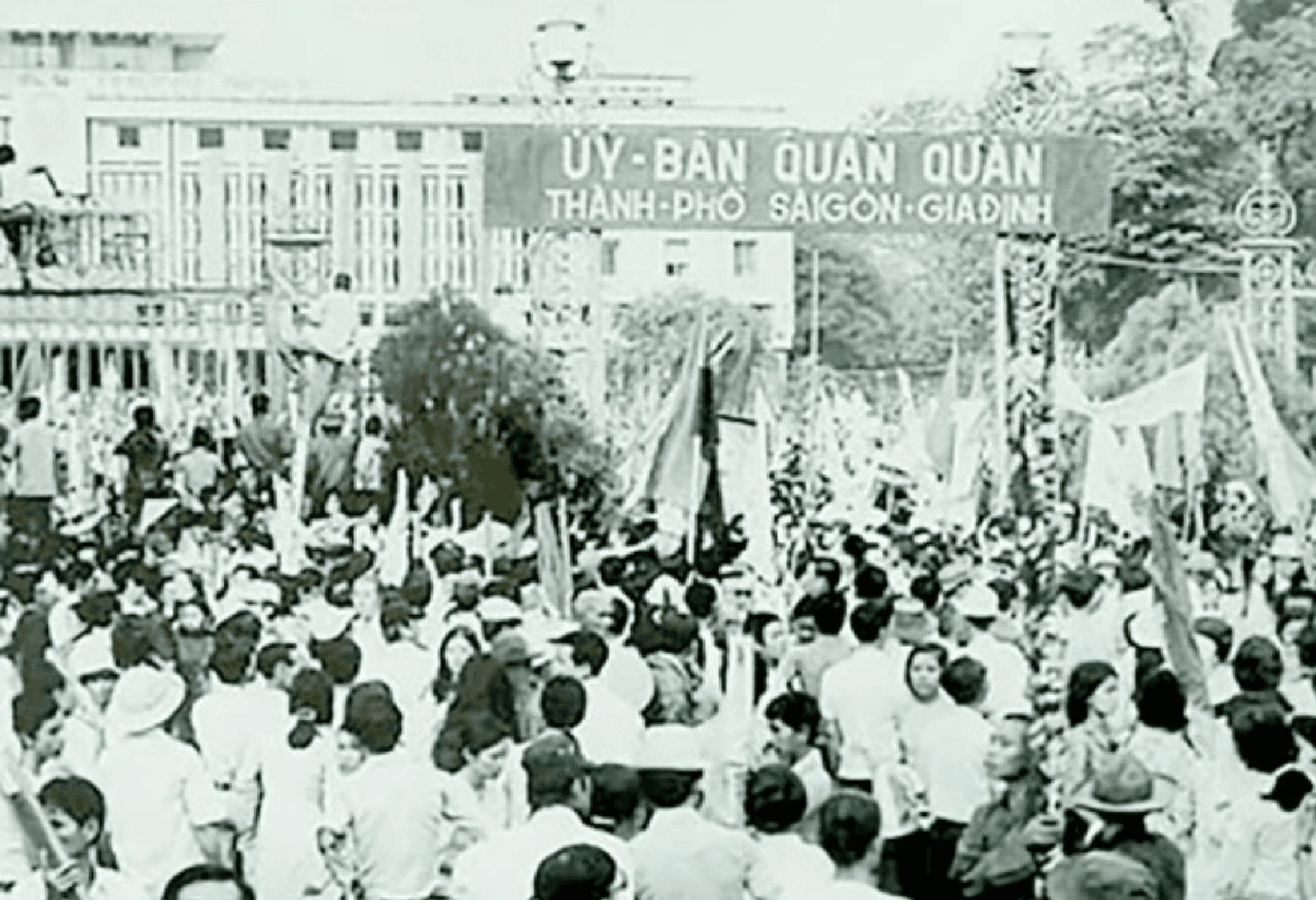 TP.HCM - Ảnh 6.