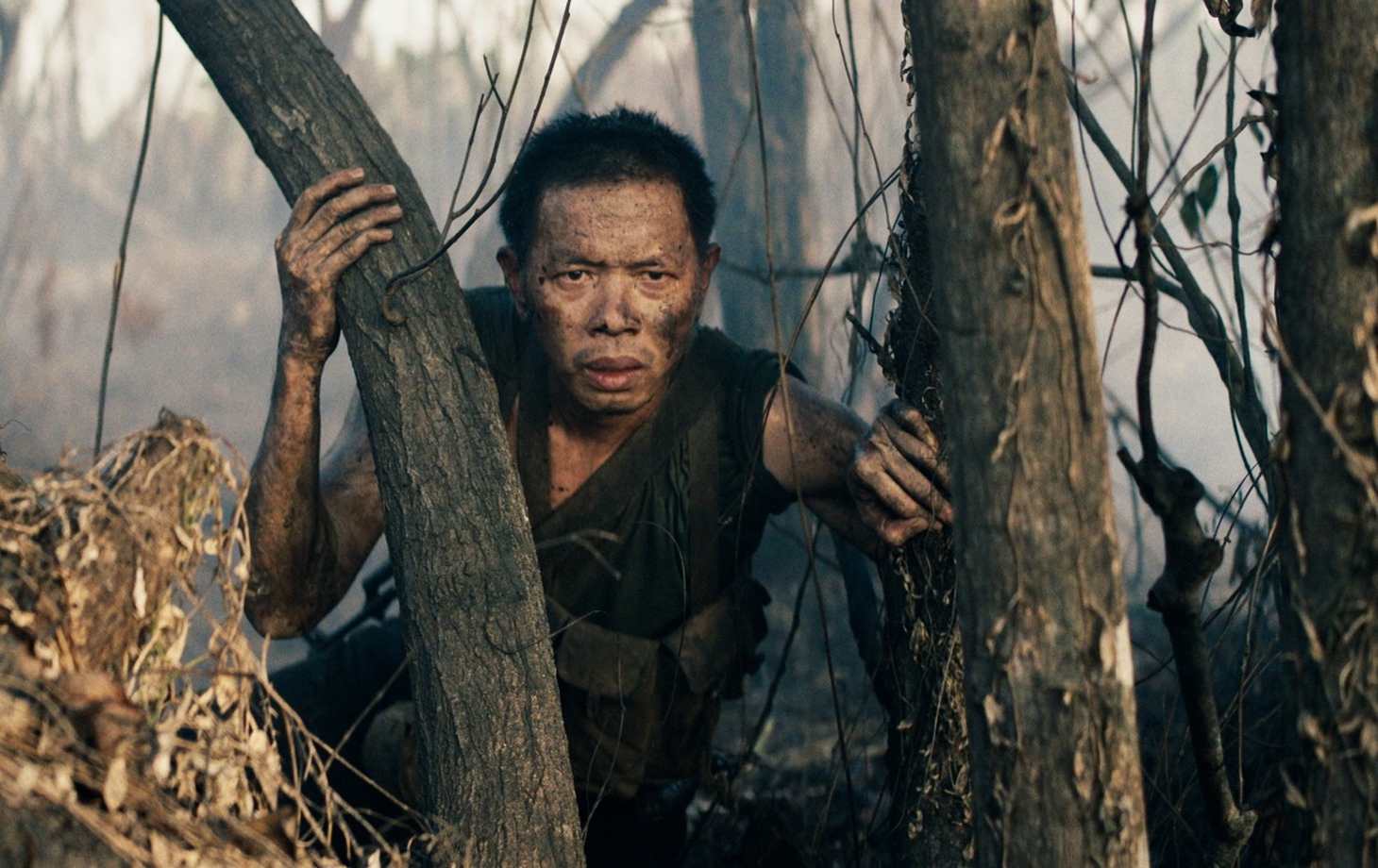 Thái Hòa - Ảnh 3.