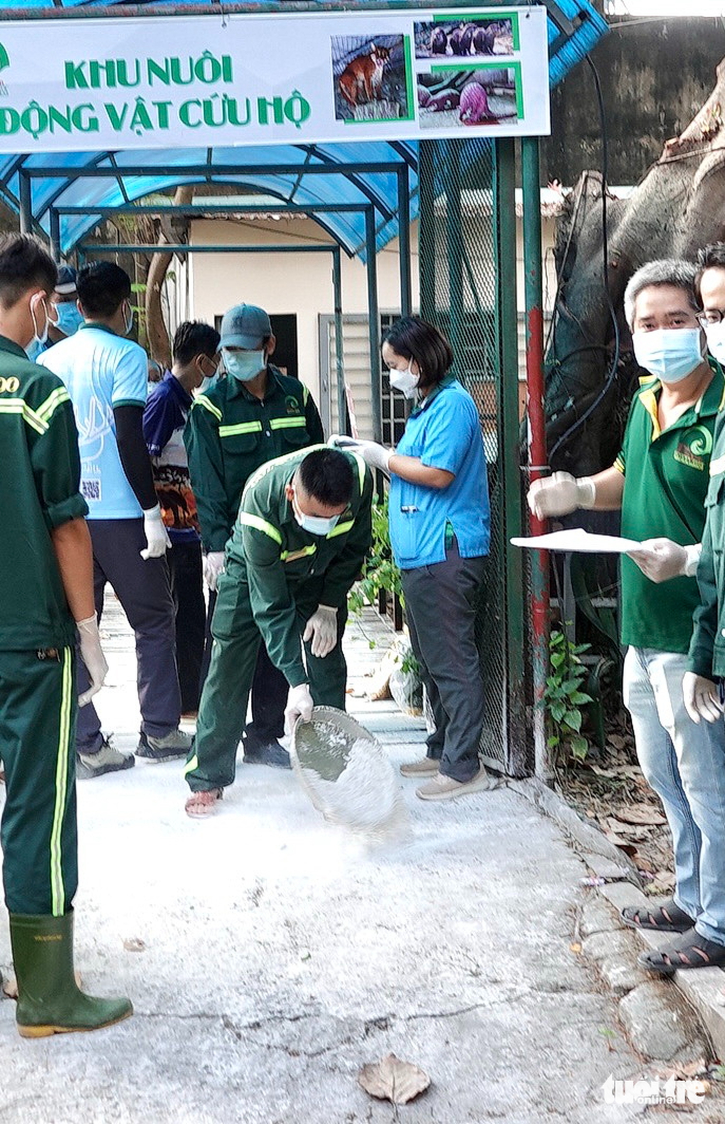 6 con sếu đầu đỏ đã về đến Tràm Chim - Ảnh 4.
