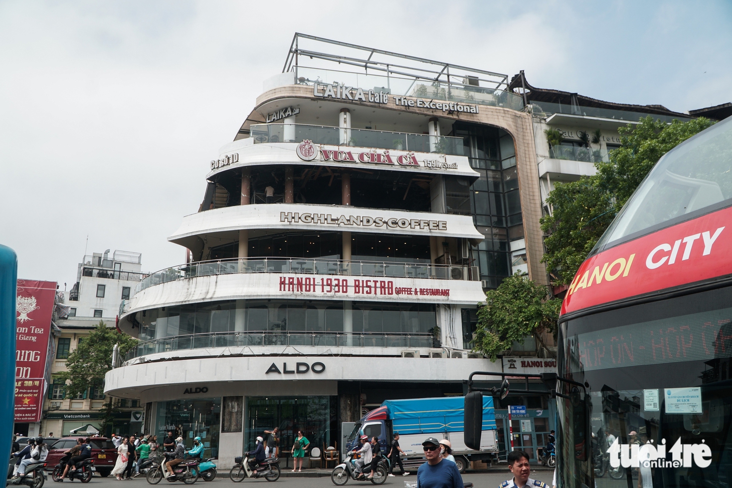 Hàm cá mập - Ảnh 1.