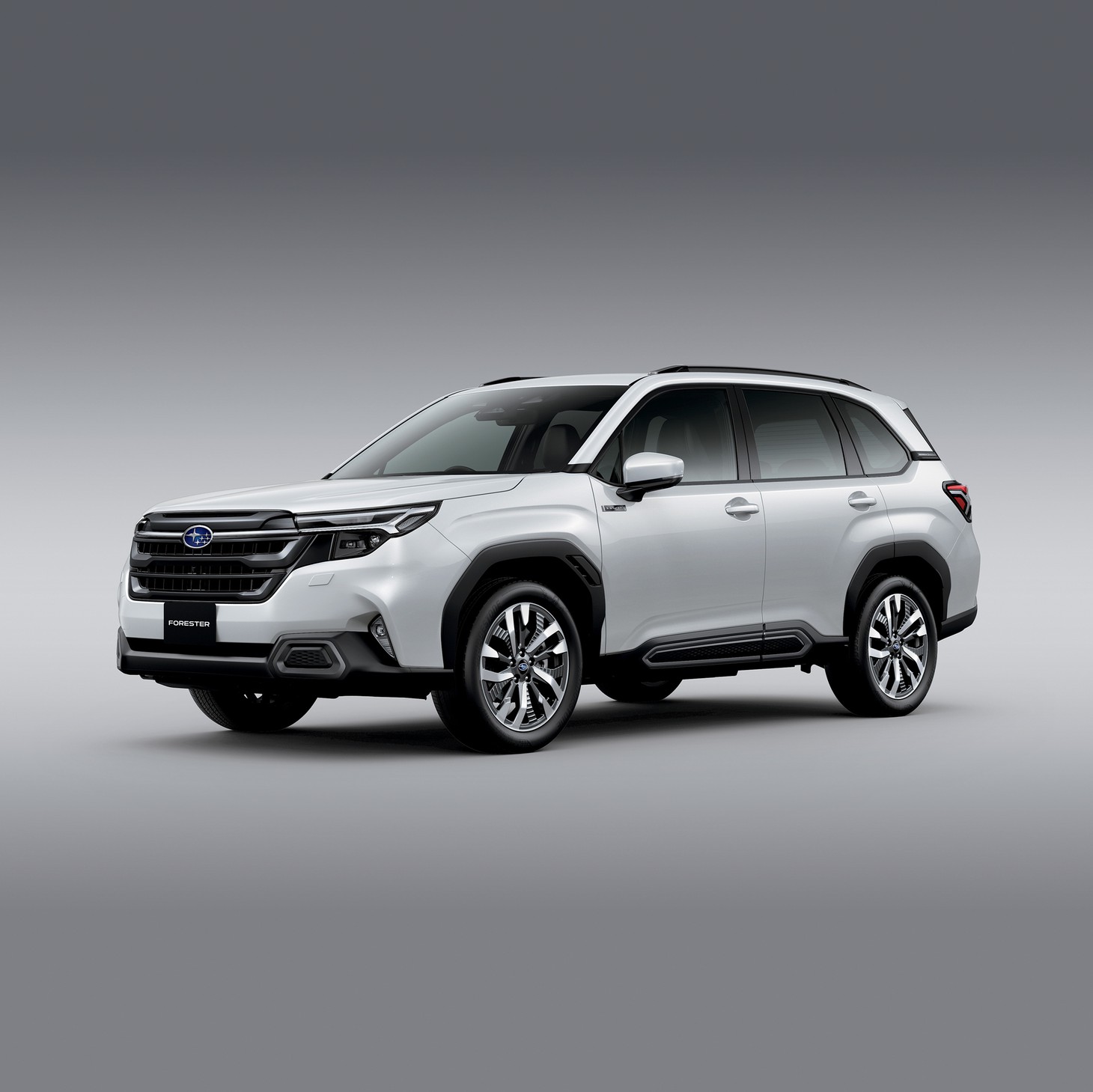 Subaru Forester - Ảnh 2.