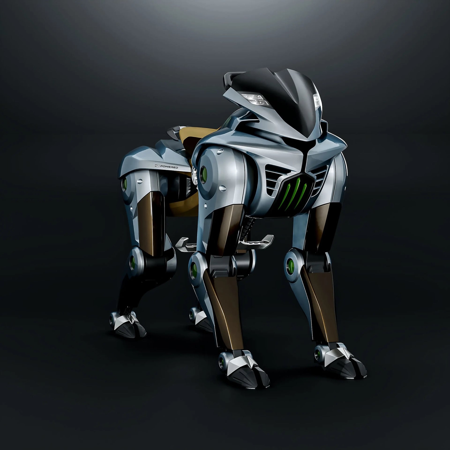 Kawasaki Corleo - Ảnh 2.