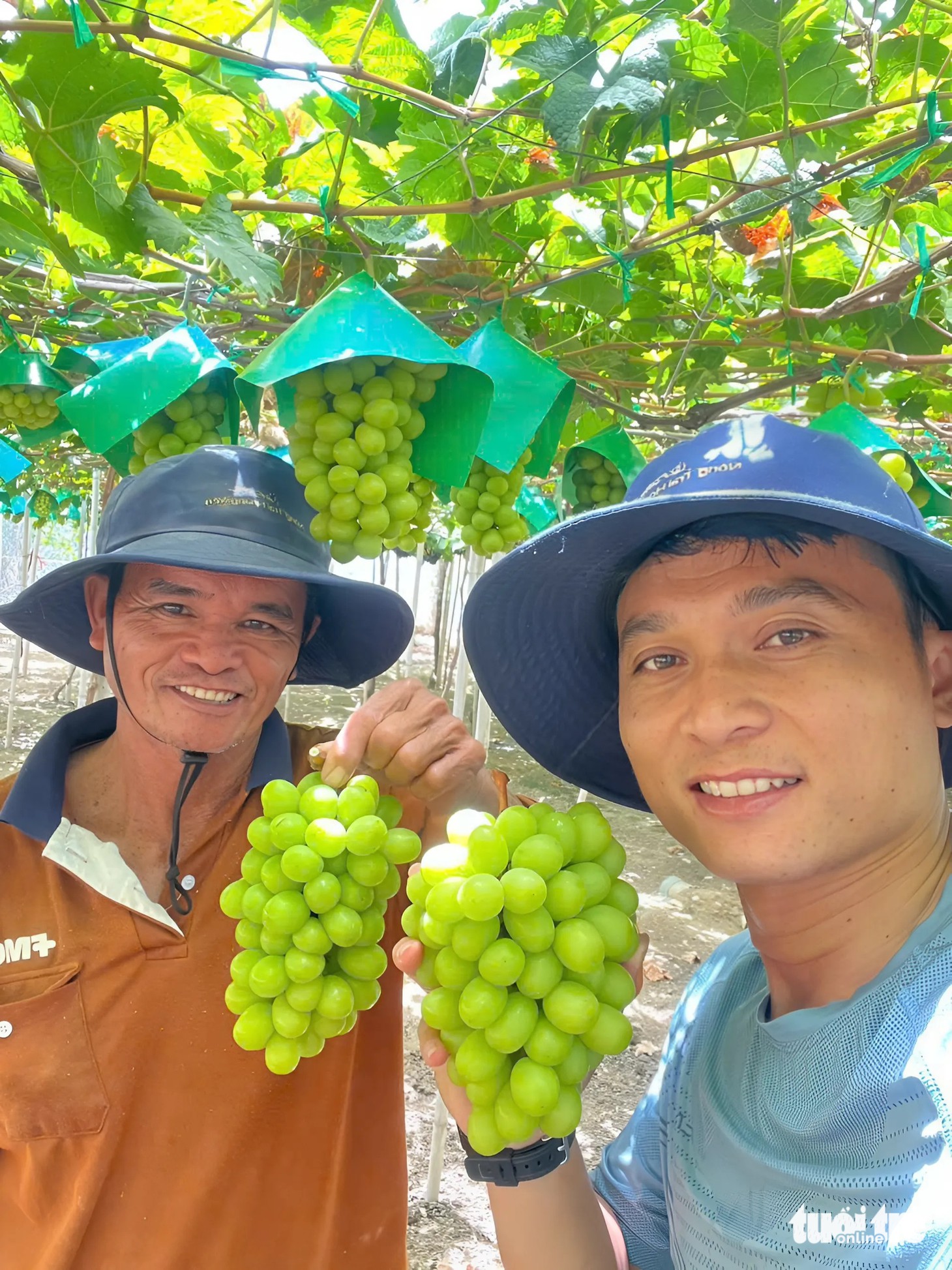 Vườn nho mẫu đơn trĩu quả khiến du khách mê mẩn 'sống ảo' - Ảnh 6.