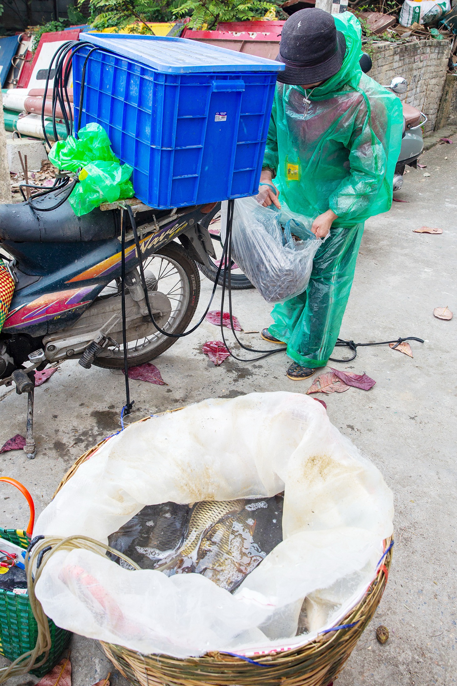 diệt cá - Ảnh 7.