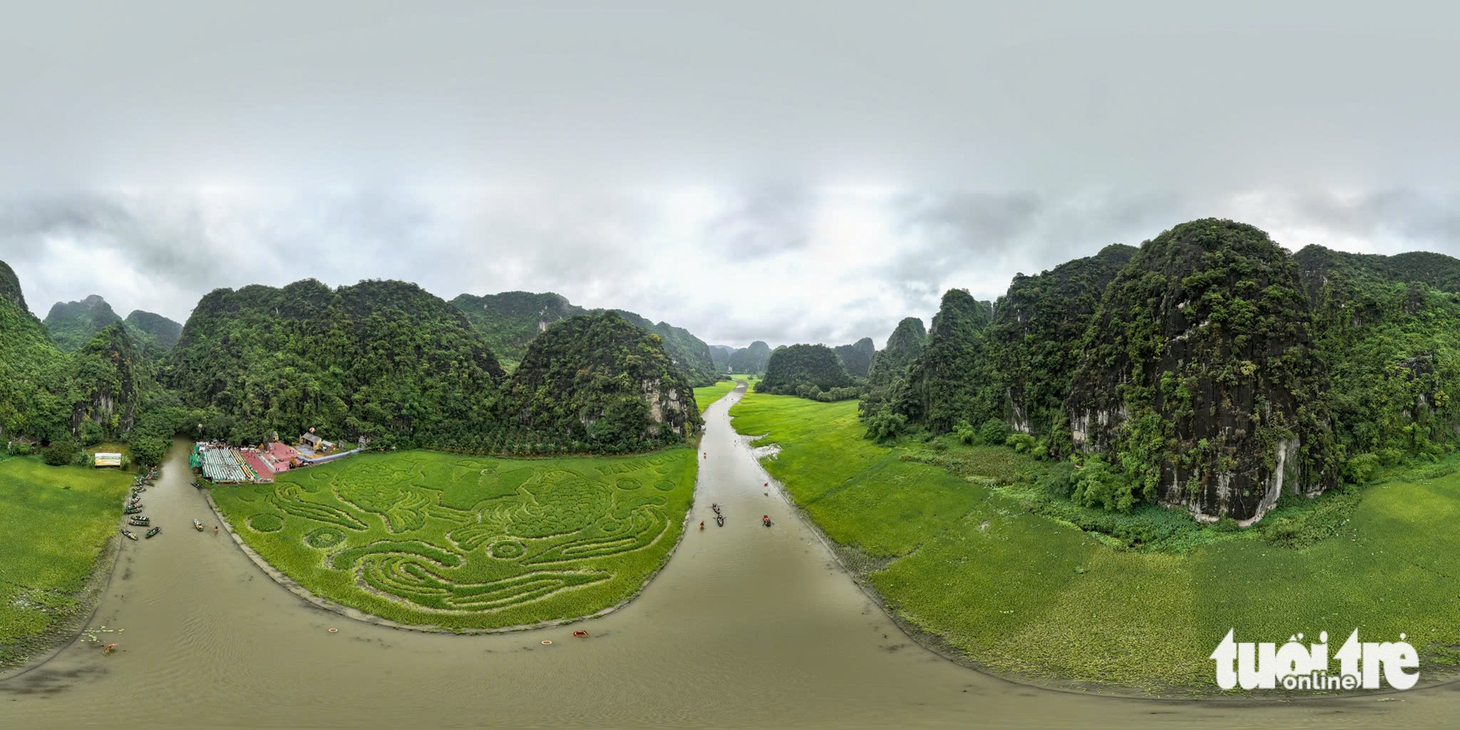 đồng lúa - Ảnh 5.