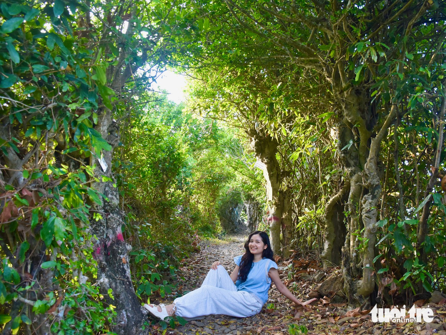 Phú Yên - Ảnh 4.