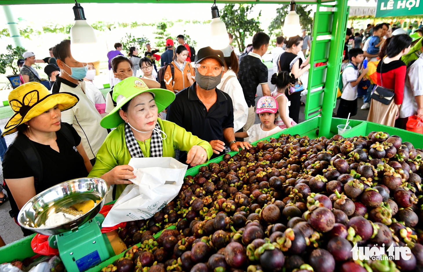 Lễ hội trái cây nam bộ - Ảnh 10.