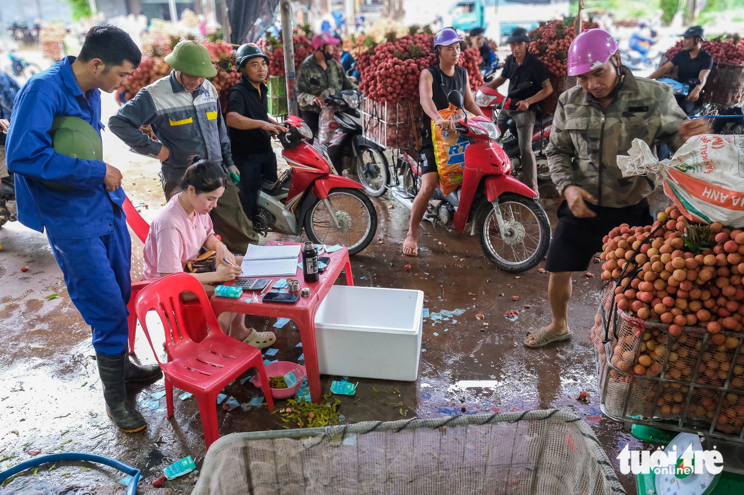 vải thiều - Ảnh 7.