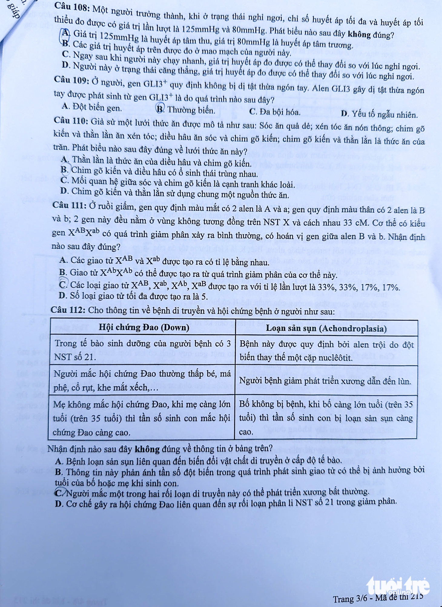 đề tổ hợp - Ảnh 7.