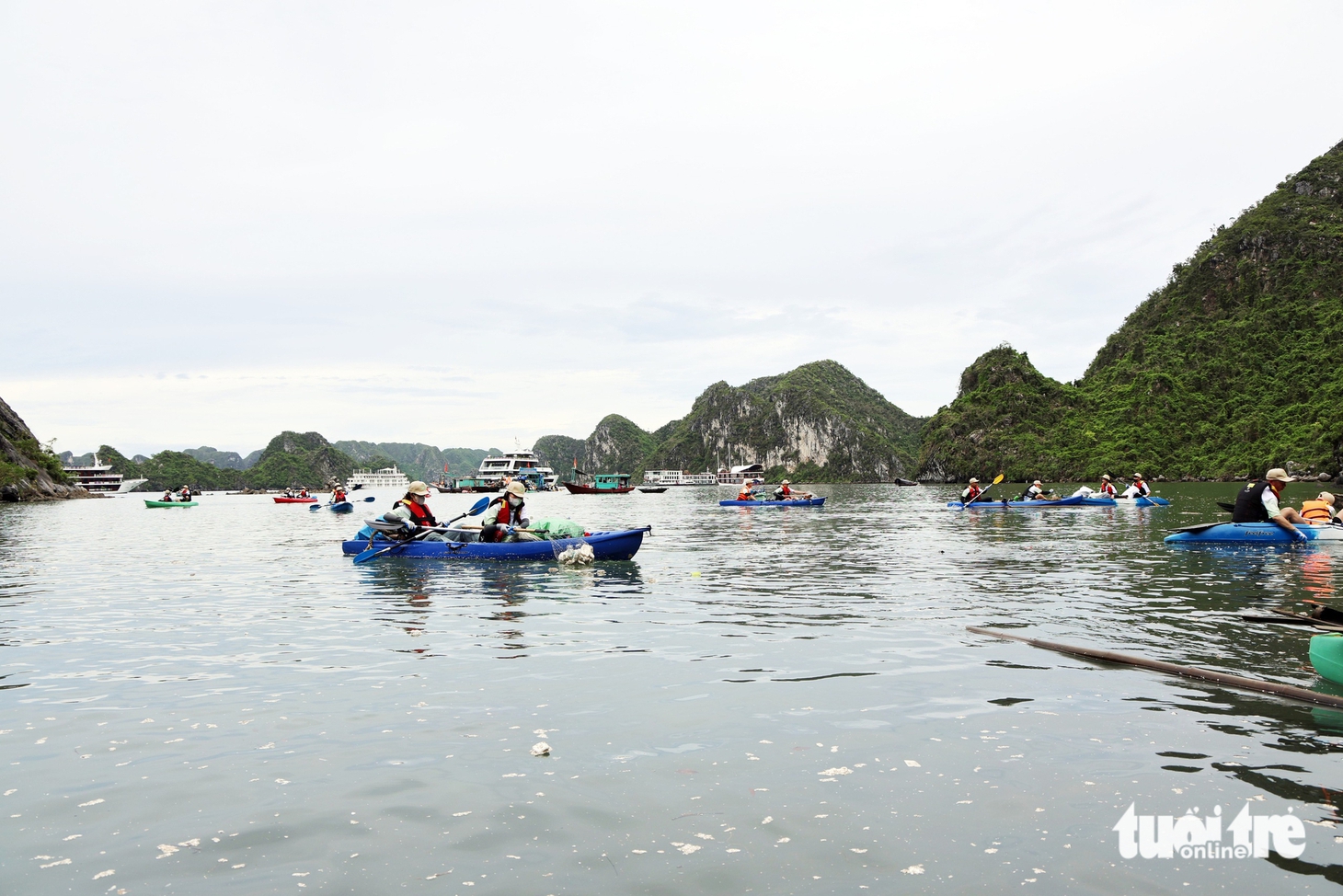 vớt rác - Ảnh 1.