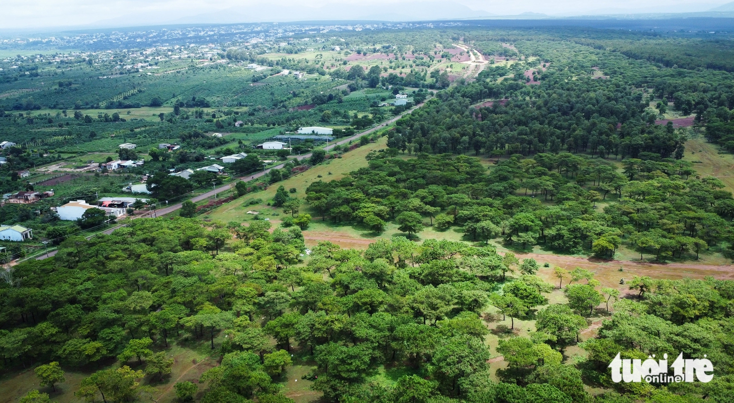 Dự án sân golf Đak Đoa sắp khởi động lại, hiện trạng ra sao?- Ảnh 6.