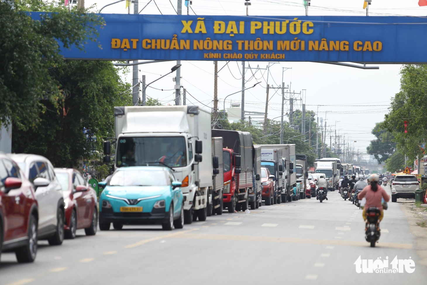 phà Cát Lái - Ảnh 5.