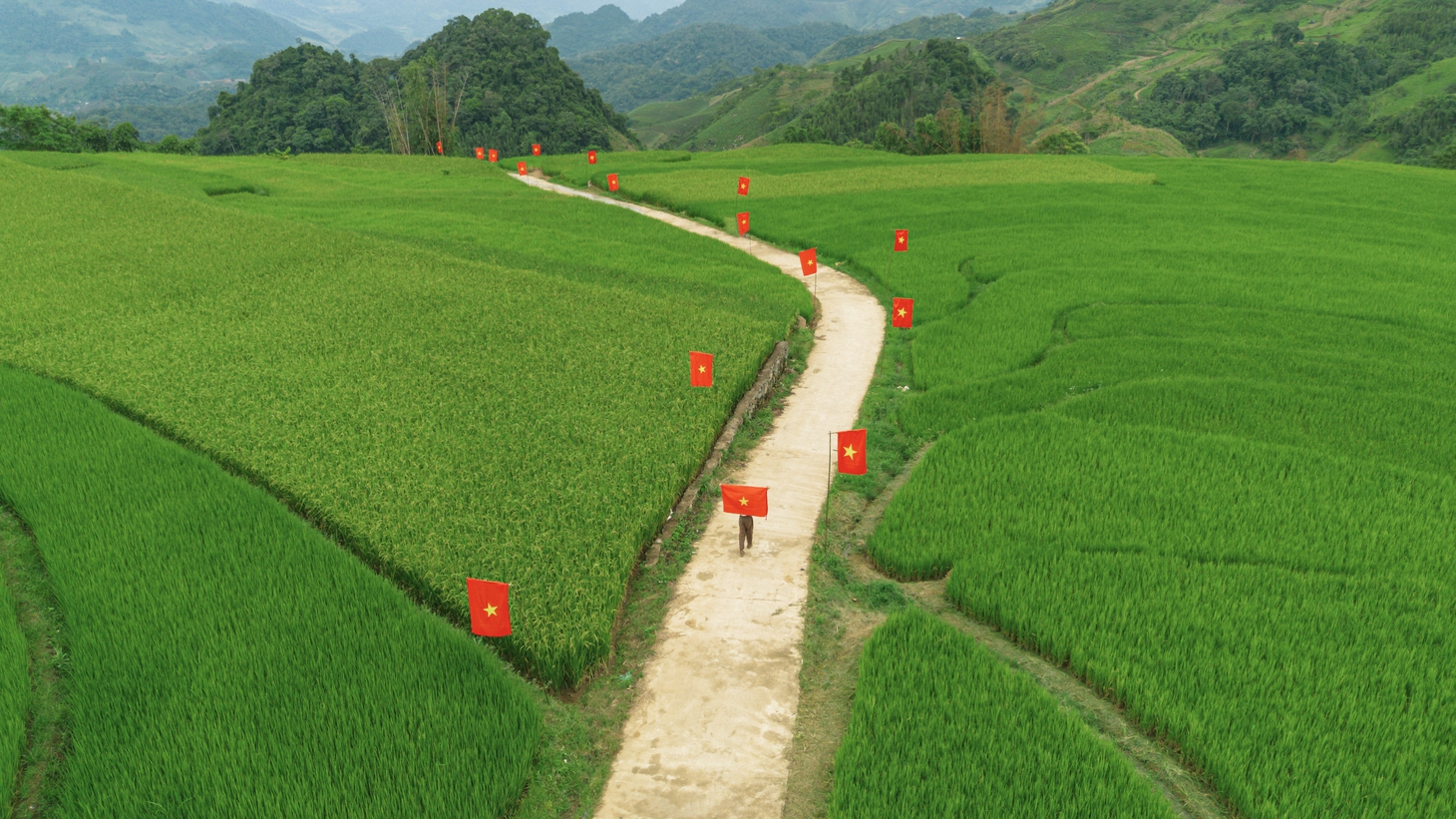 Con đường cờ đỏ giữa ruộng bậc thang Suối Lìn, điểm check-in mới ở Sơn La - Ảnh 1.