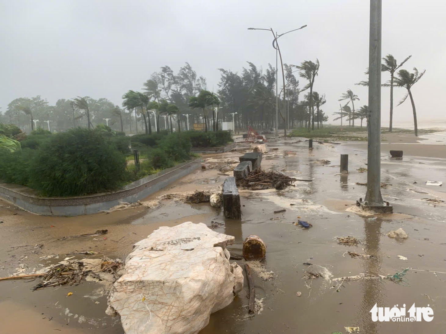bão số 5 - Ảnh 11.