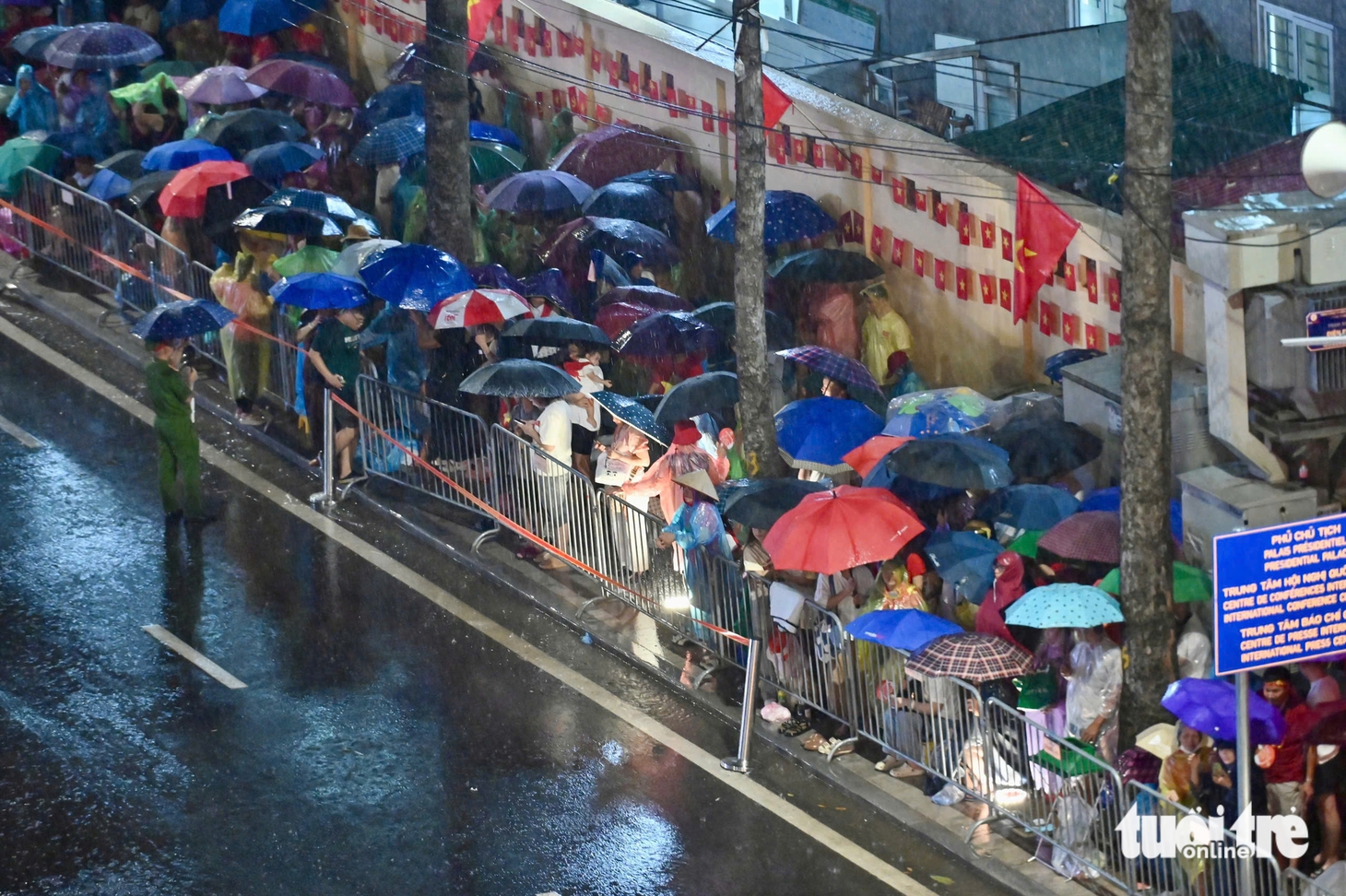 diễu binh, diễu hành - Ảnh 42.