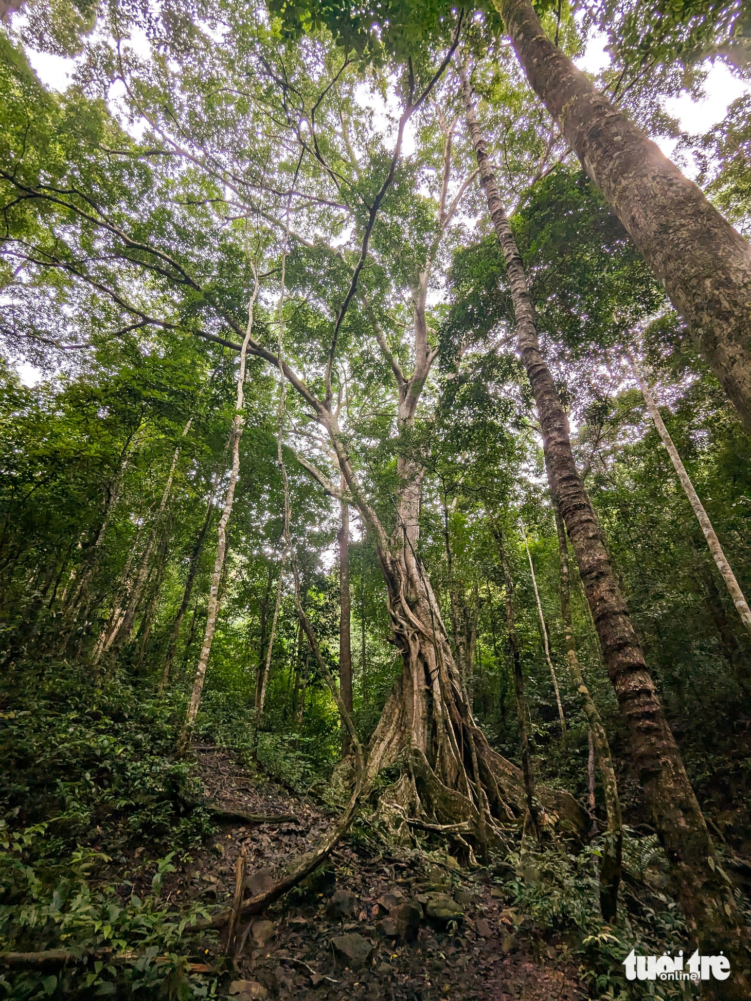 Kon Ka Kinh - Ảnh 5.