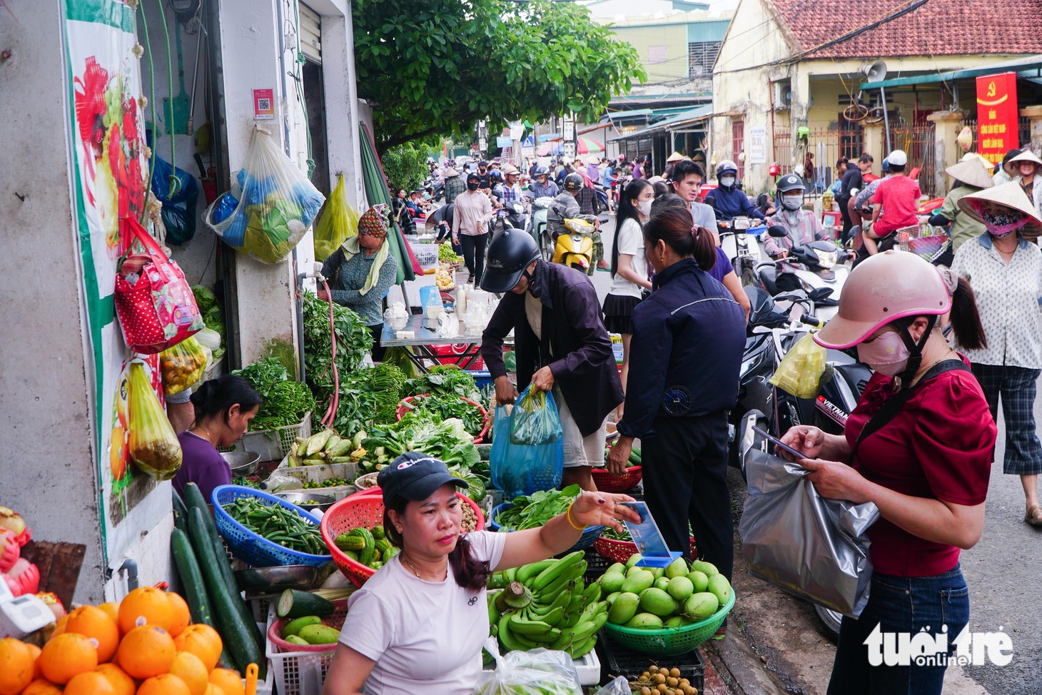 Đặc khu Vân Đồn tất bật trước bão Ragasa, lực lượng cứu hộ đã sẵn sàng - Ảnh 2.