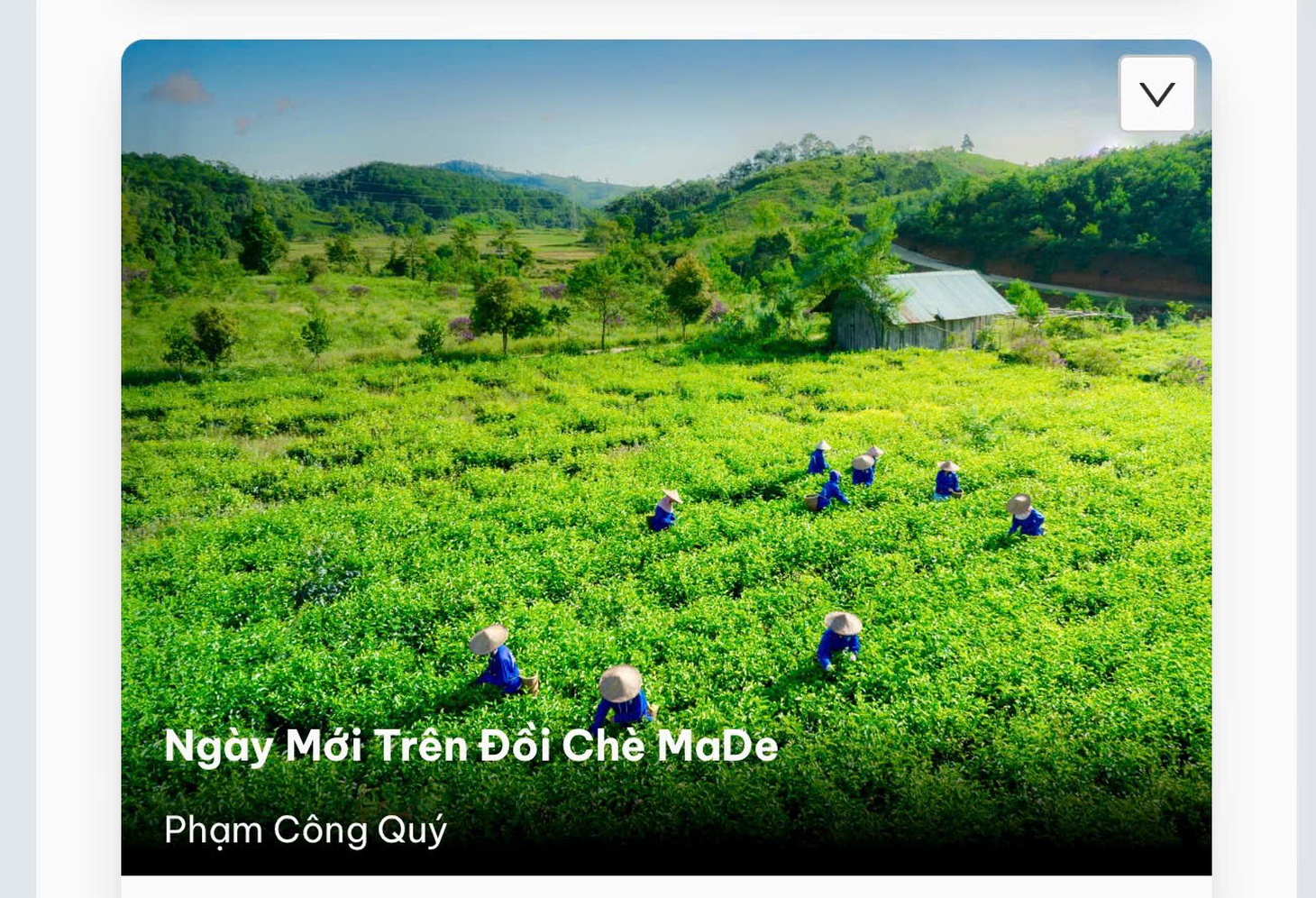 Măng Đen - Ảnh 14.