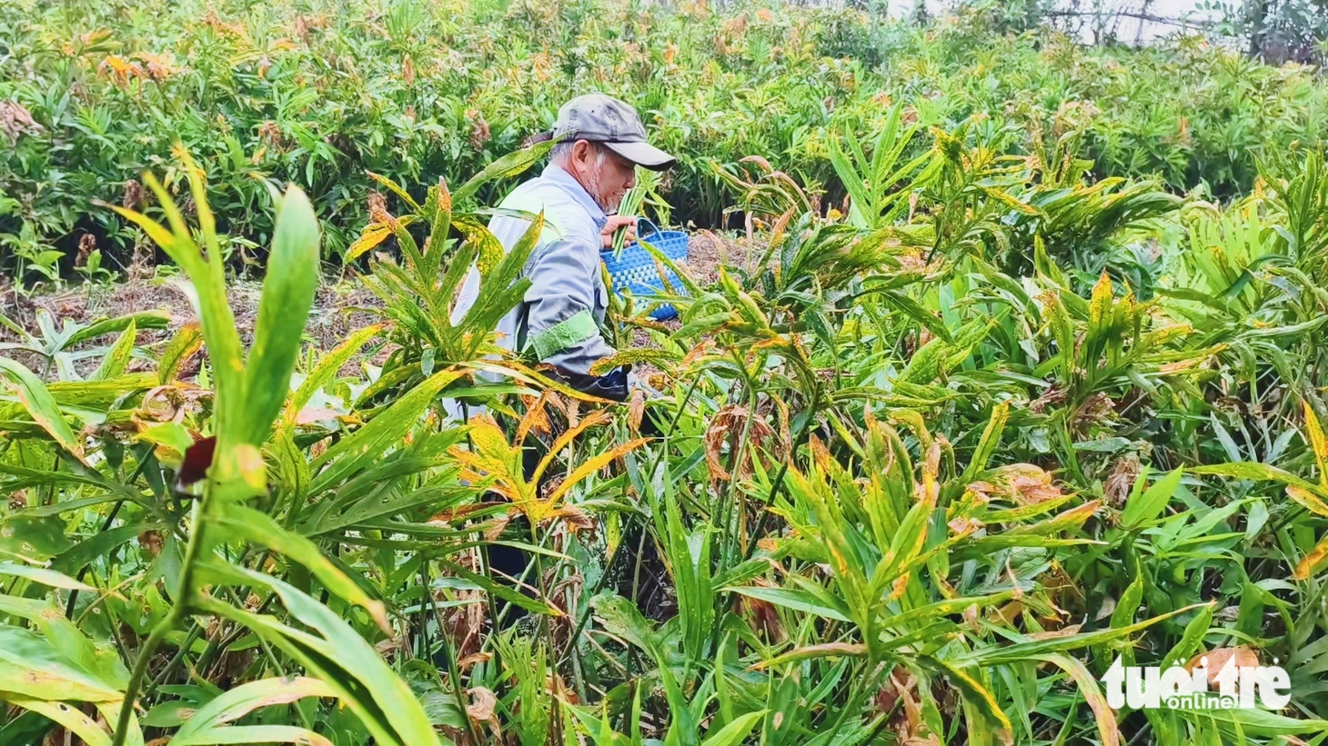 du lịch cộng đồng - Ảnh 10.