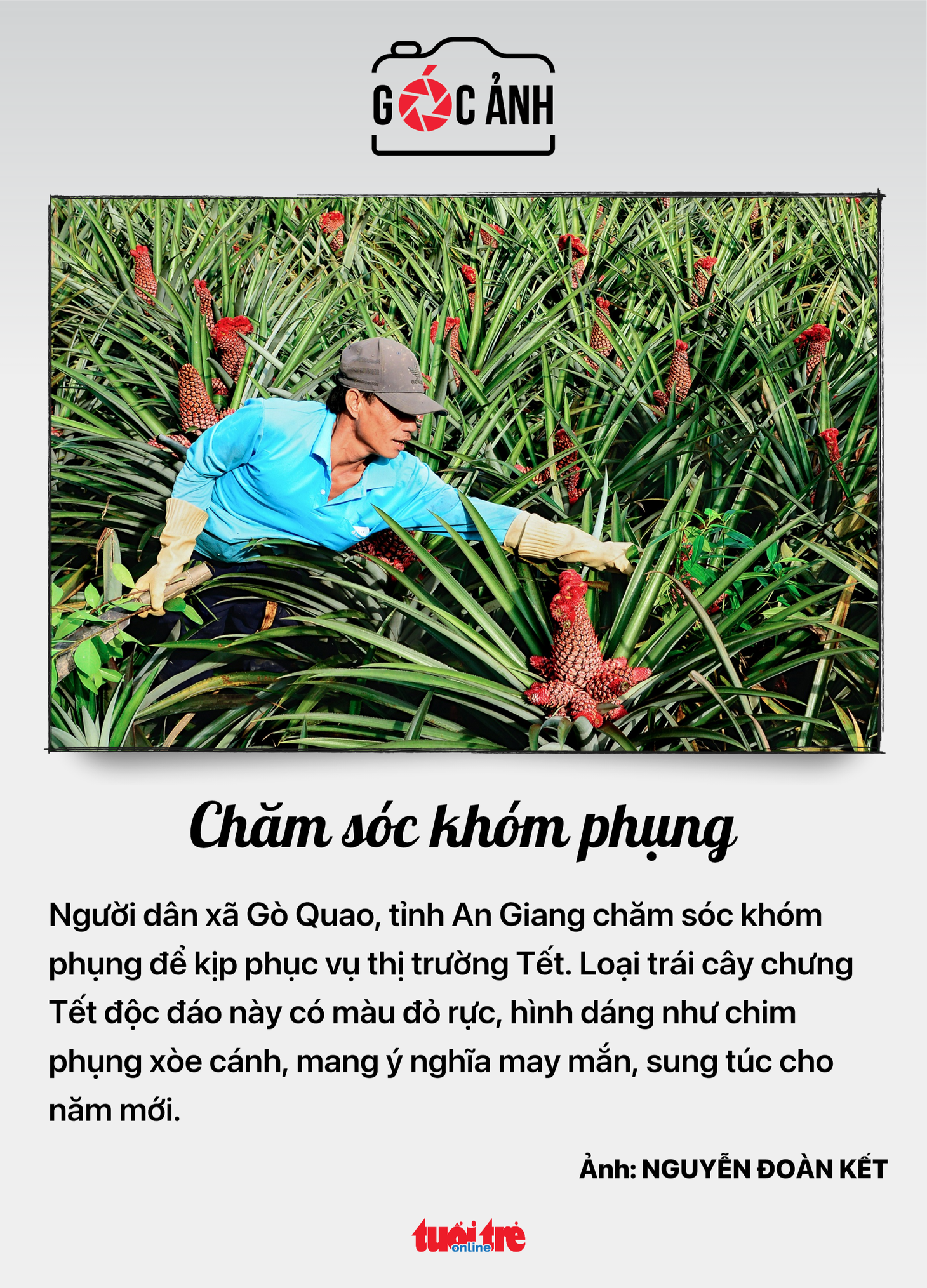 lĩnh vực thú y - Ảnh 6.