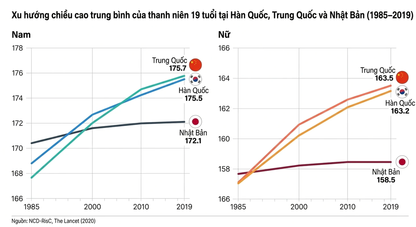 - Ảnh 2.