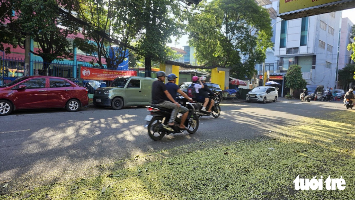 Con đường hoa sữa thơm nức giữa lòng TP.HCM - Ảnh 13.