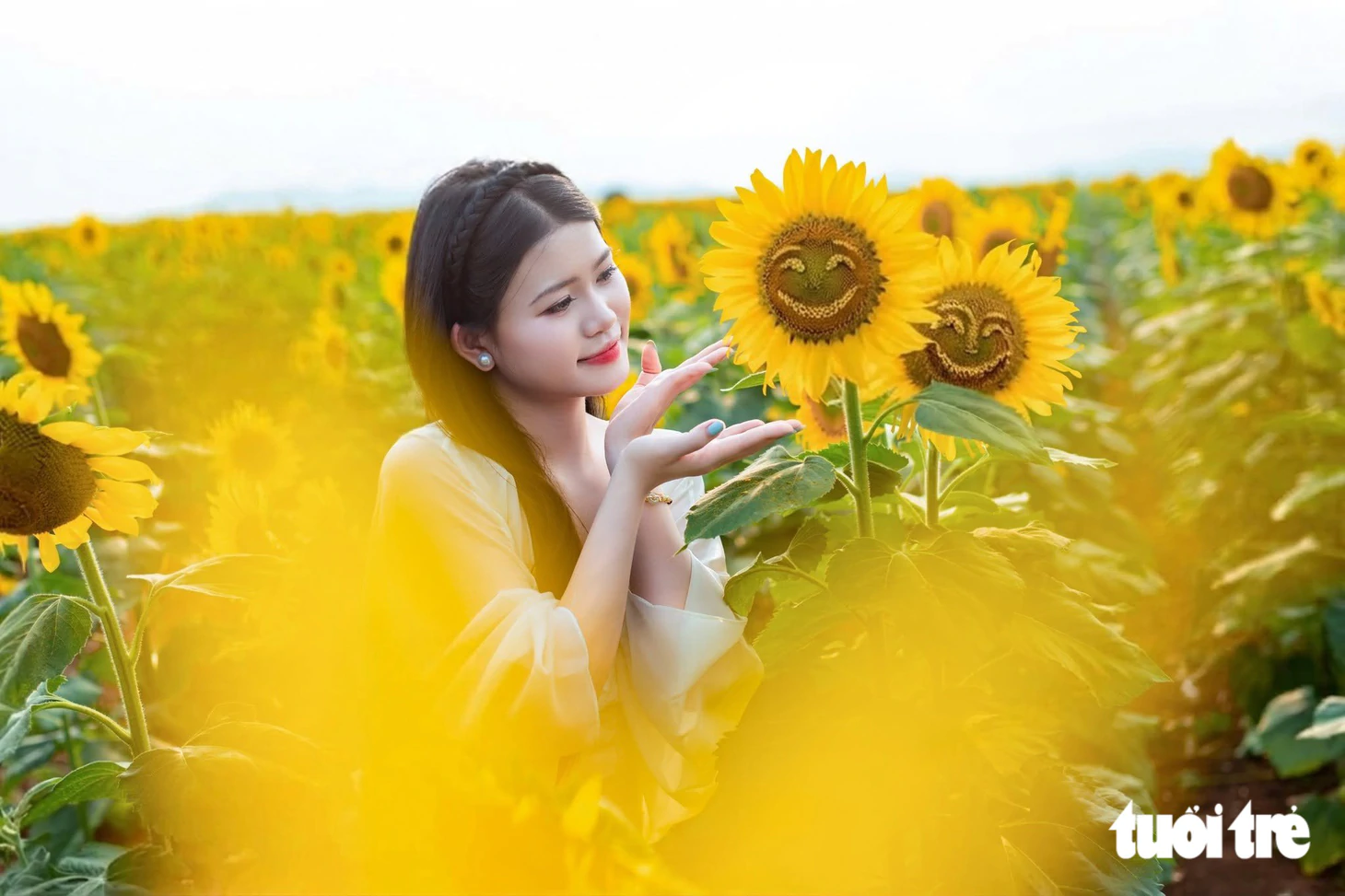 Lạc bước giữa sắc vàng cánh đồng hoa hướng dương lớn nhất Việt Nam - Ảnh 10.