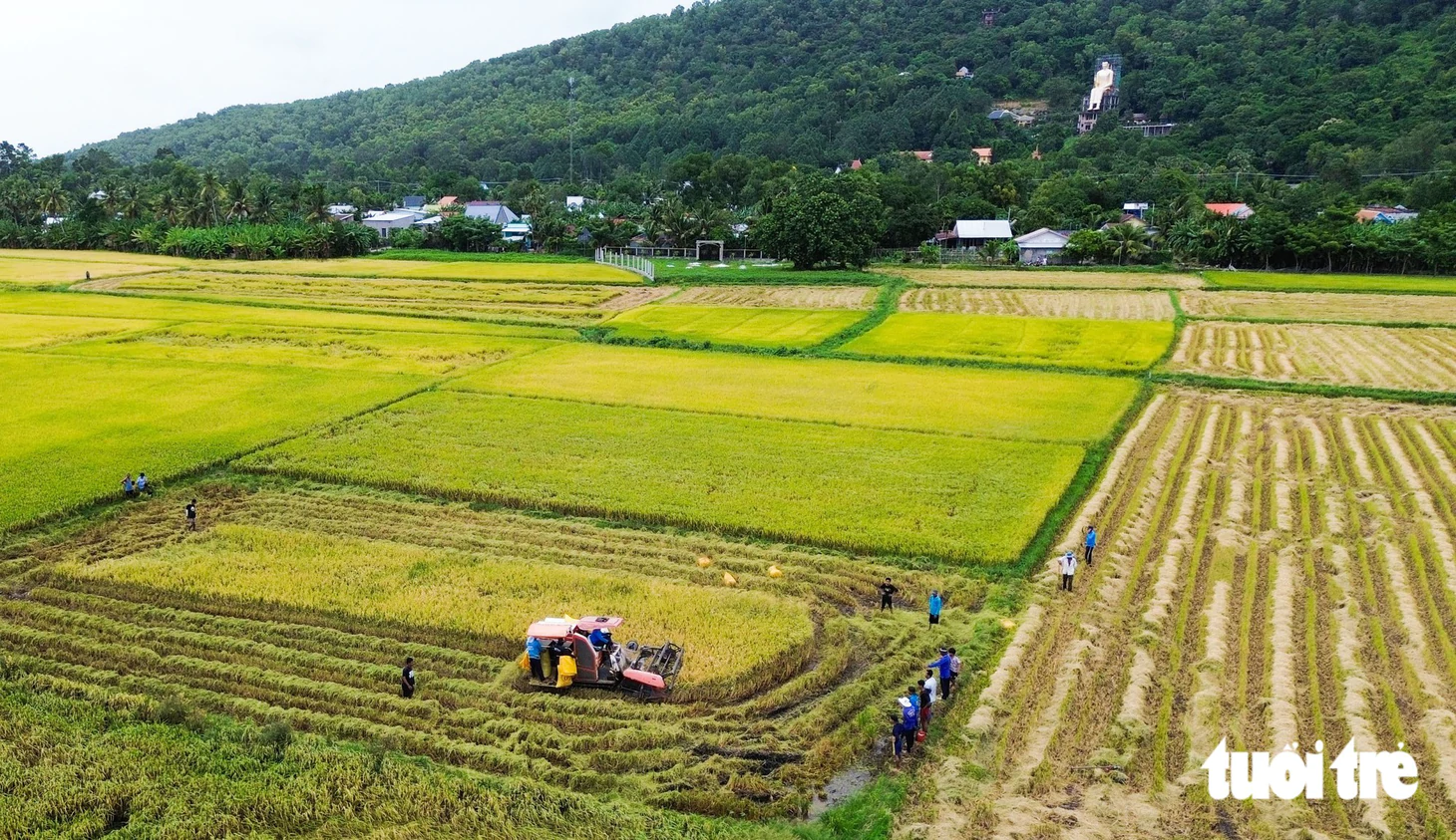 Du khách đã mắt ngắm nhiều tượng phật ‘khổng lồ’ ở xứ sở thần tiên An Giang - Ảnh 9.