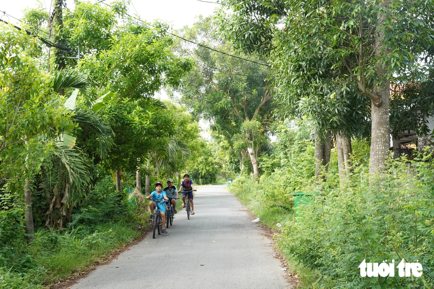 Khám phá xã Thái Mỹ: Điểm đến du lịch từ TP . HCM chỉ Cách 50km - Ảnh 1.