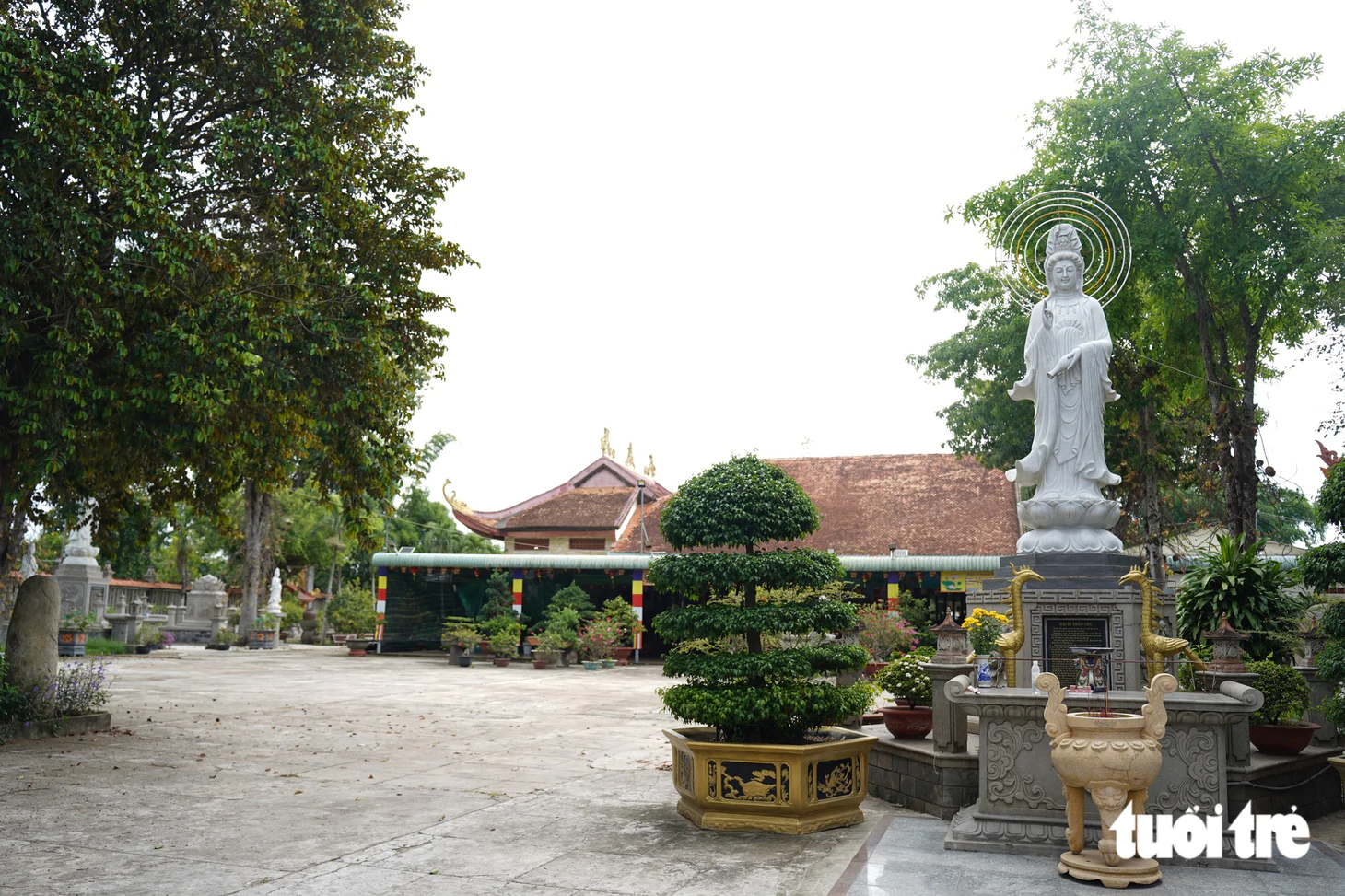 Khám phá xã Thái Mỹ: Điểm đến du lịch từ TP . HCM chỉ Cách 50km - Ảnh 5.