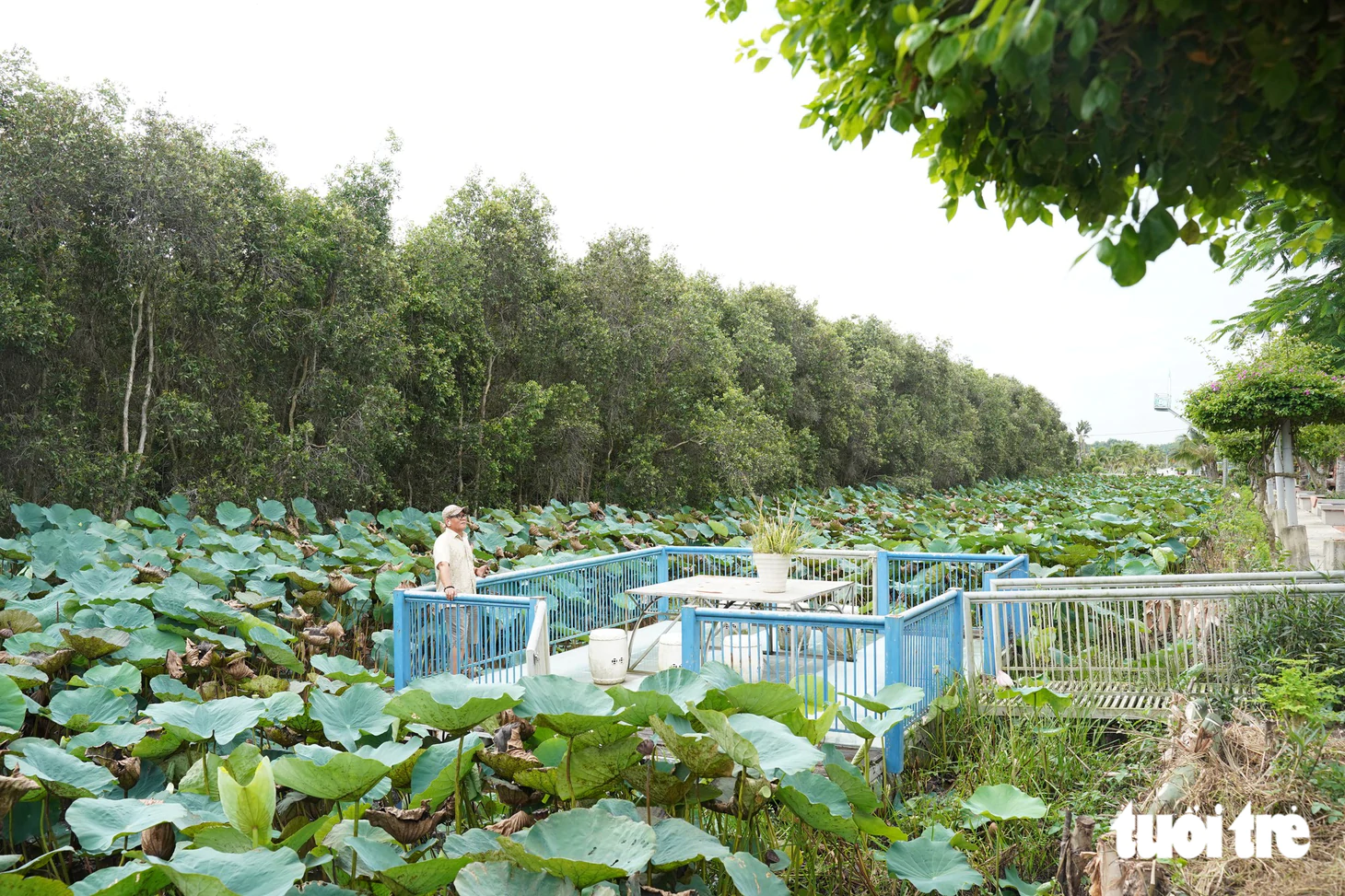 Khám phá xã Thái Mỹ: Điểm đến du lịch từ TP . HCM chỉ Cách 50km - Ảnh 11.