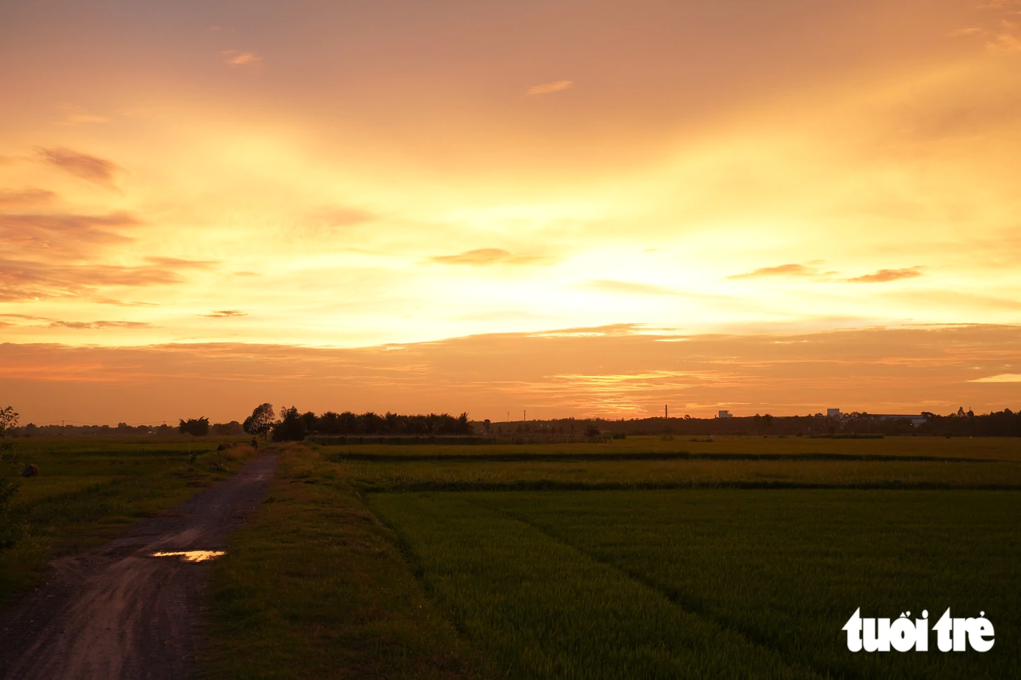 Khám phá xã Thái Mỹ: Điểm đến du lịch từ TP . HCM chỉ Cách 50km - Ảnh 18.