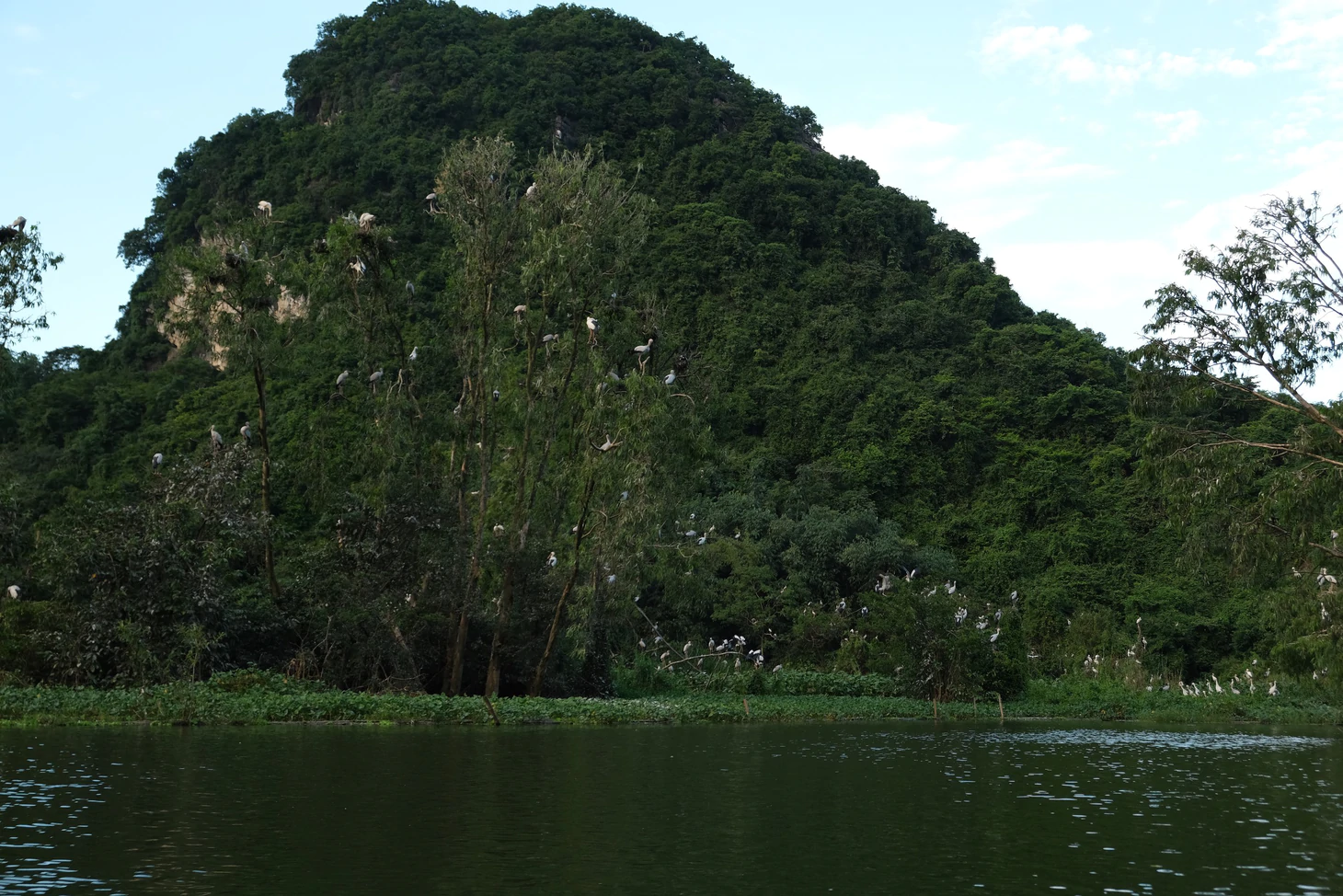 Về Ninh Bình, ngắm cò, hạc, le le… bay rợp trời ở Thung Nham - Ảnh 6.