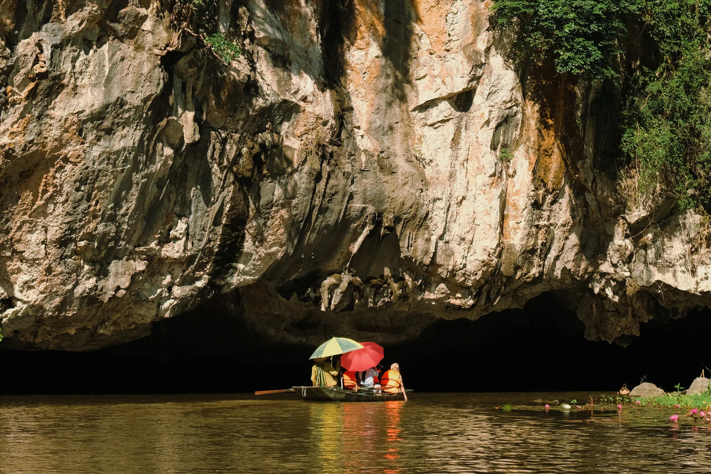 Về Ninh Bình, ngắm cò, hạc, le le… bay rợp trời ở Thung Nham - Ảnh 13.