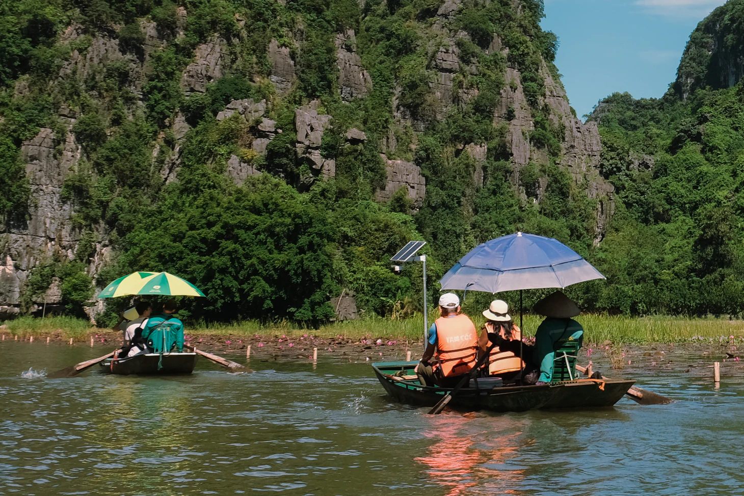 Về Ninh Bình, ngắm cò, hạc, le le… bay rợp trời ở Thung Nham - Ảnh 14.