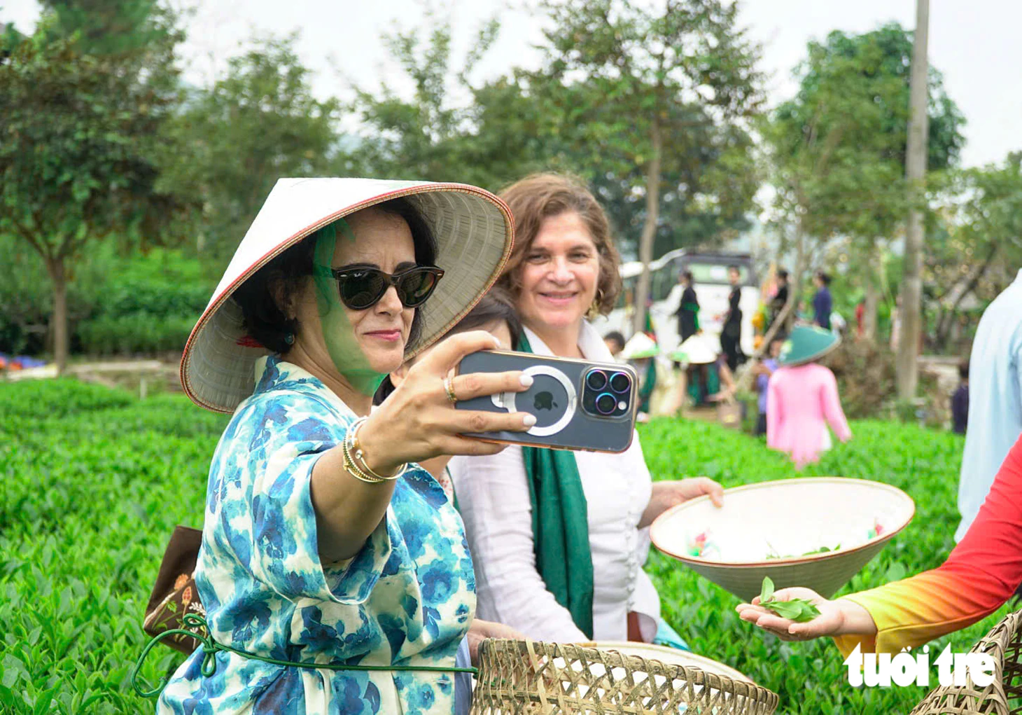 Các đại sứ đi tàu di sản, hái chè Thái Nguyên - Ảnh 1.