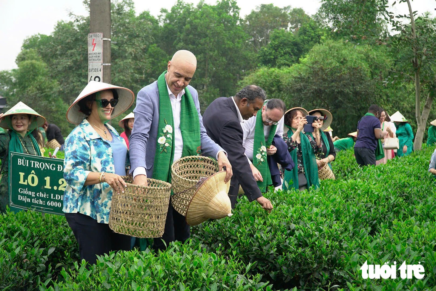 Các đại sứ đi tàu di sản, hái chè Thái Nguyên - Ảnh 5.
