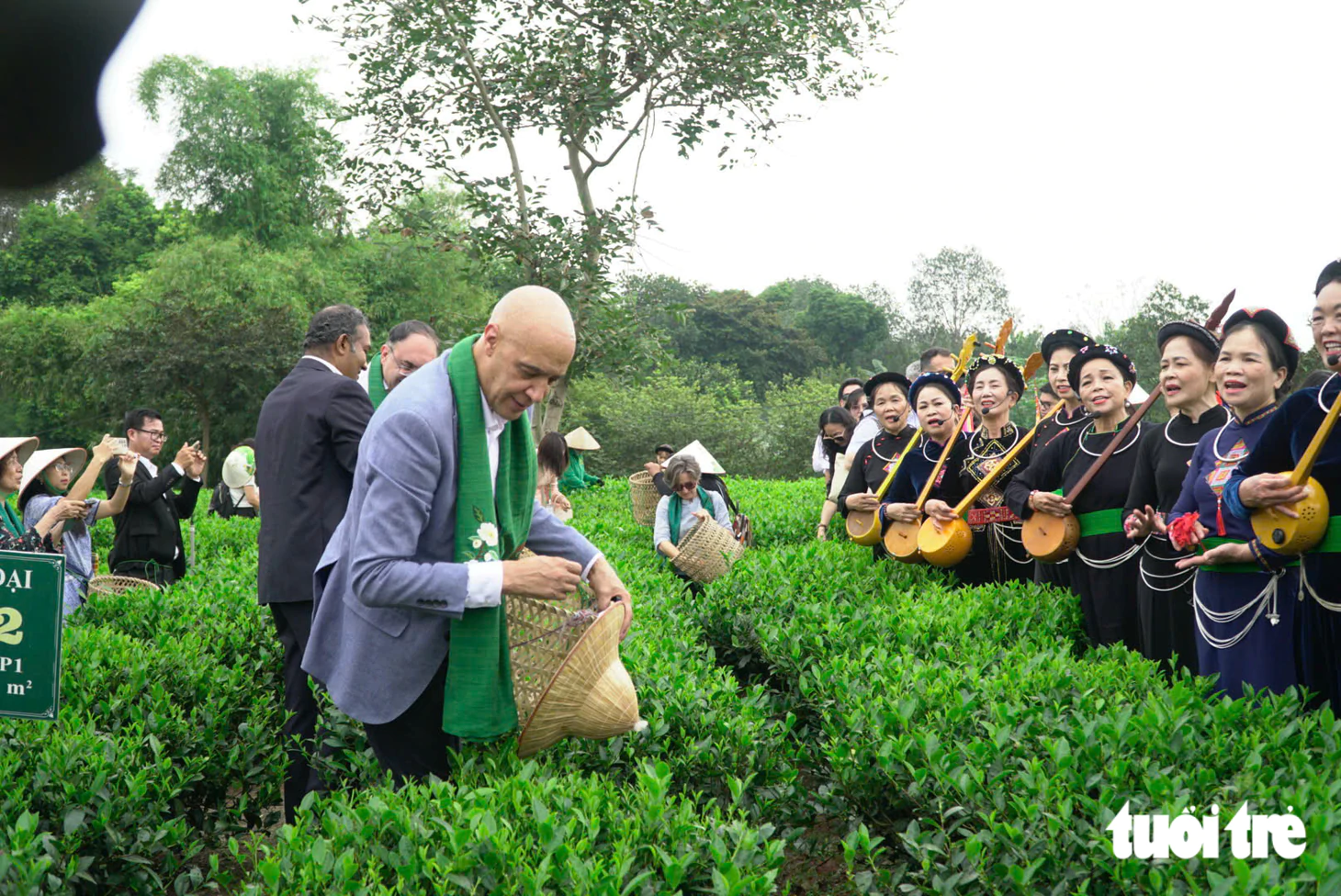 Các đại sứ đi tàu di sản, hái chè Thái Nguyên - Ảnh 6.