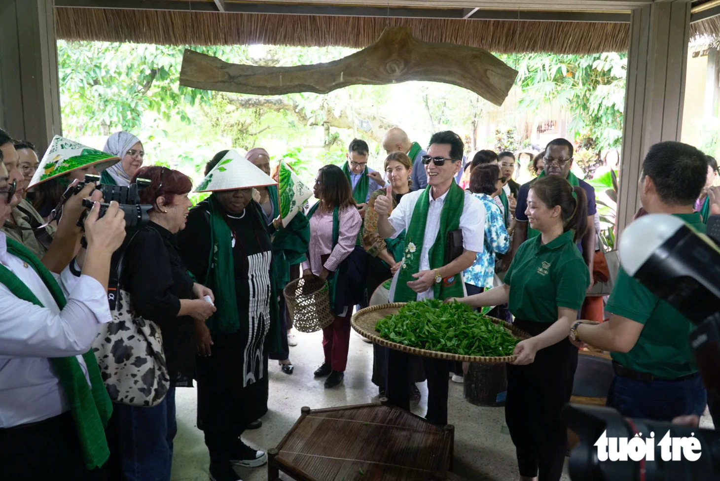 Các đại sứ đi tàu di sản, hái chè Thái Nguyên - Ảnh 4.