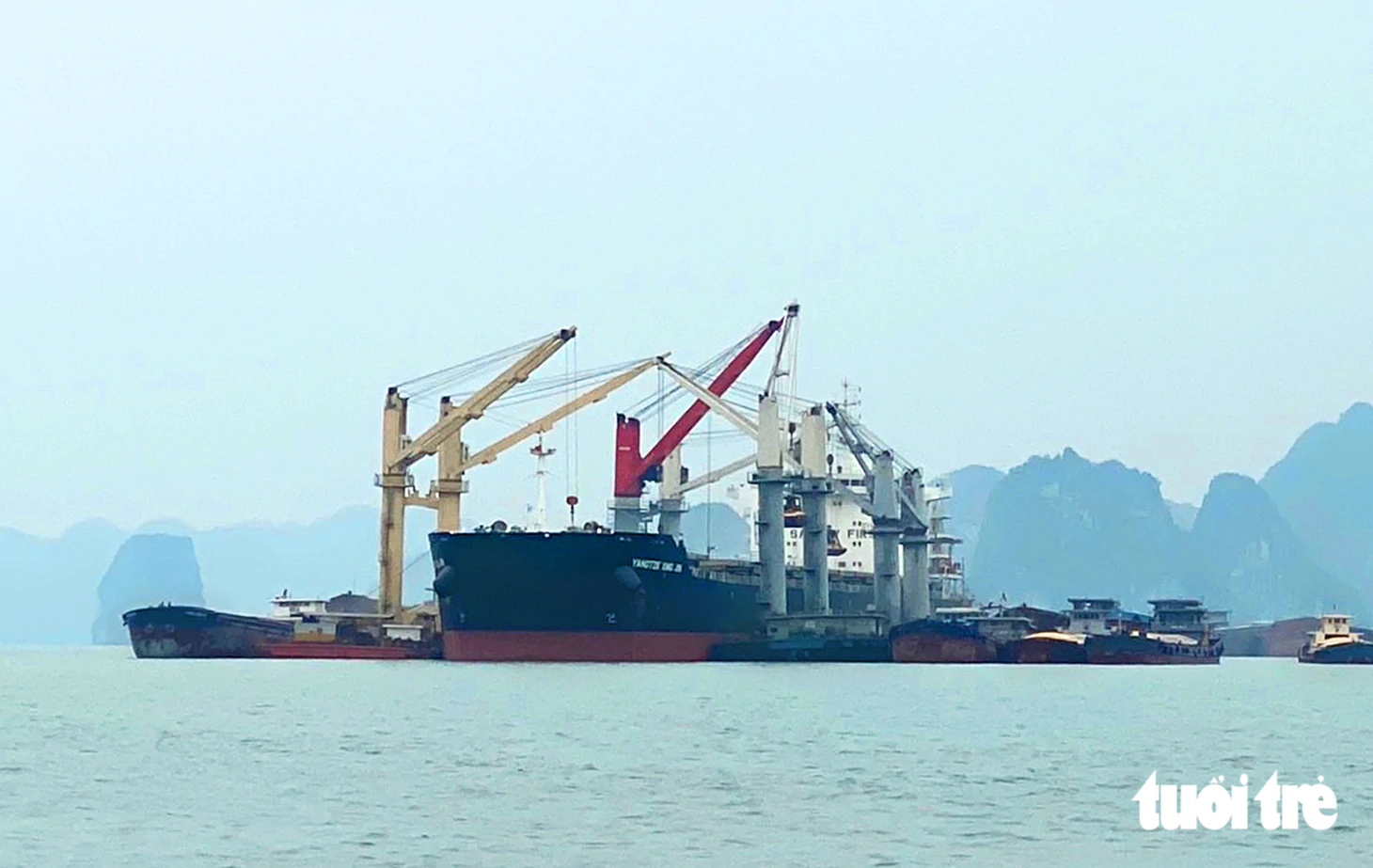 Gói thầu bốc dỡ than ở Quảng Ninh: Doanh nghiệp nội kêu vì tiêu chí kỹ thuật gây khó - Ảnh 2.