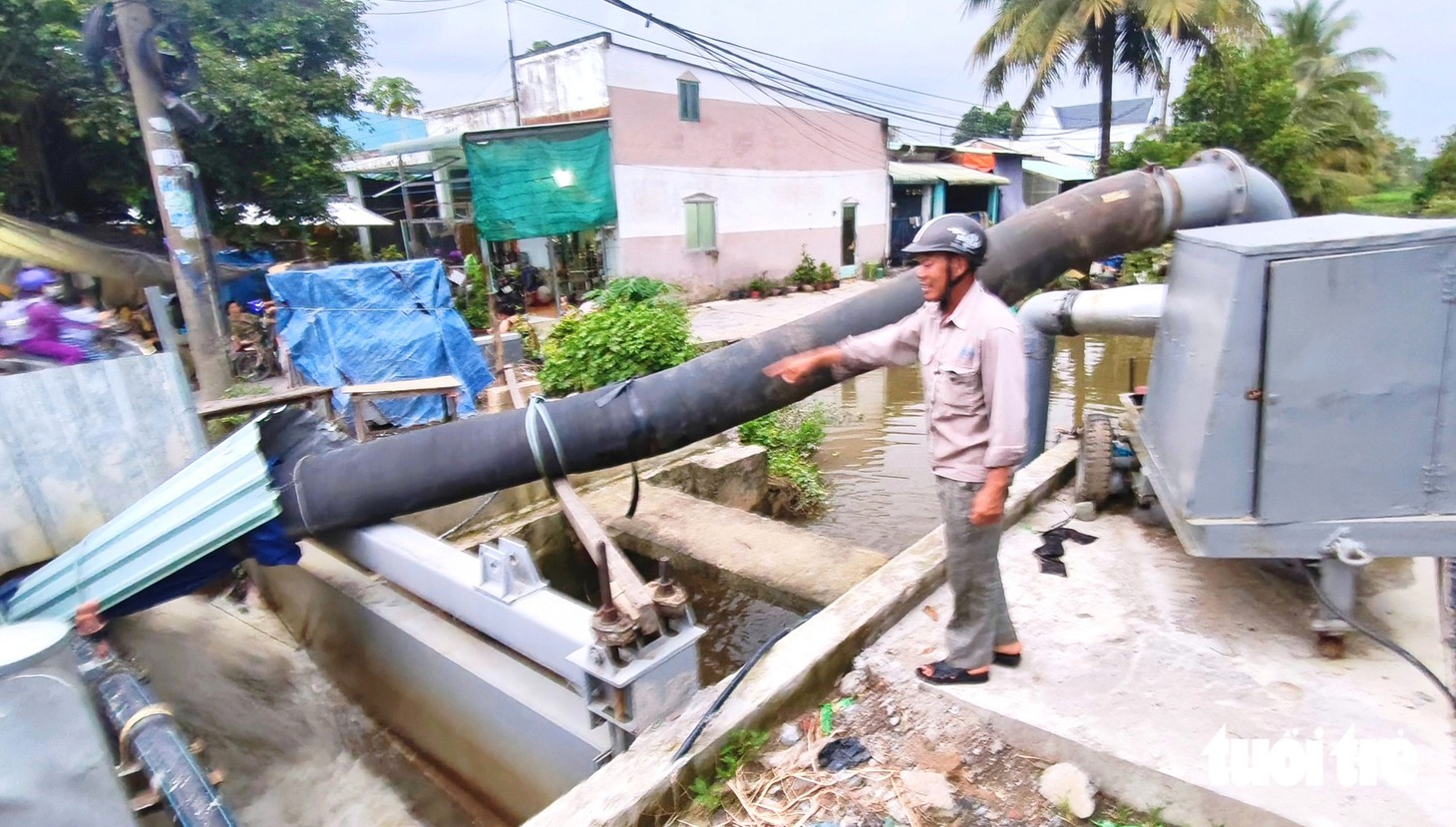 Bình Lợi nâng cấp hạ tầng thủy lợi, bảo vệ hơn 600ha mai vàng - Ảnh 1.