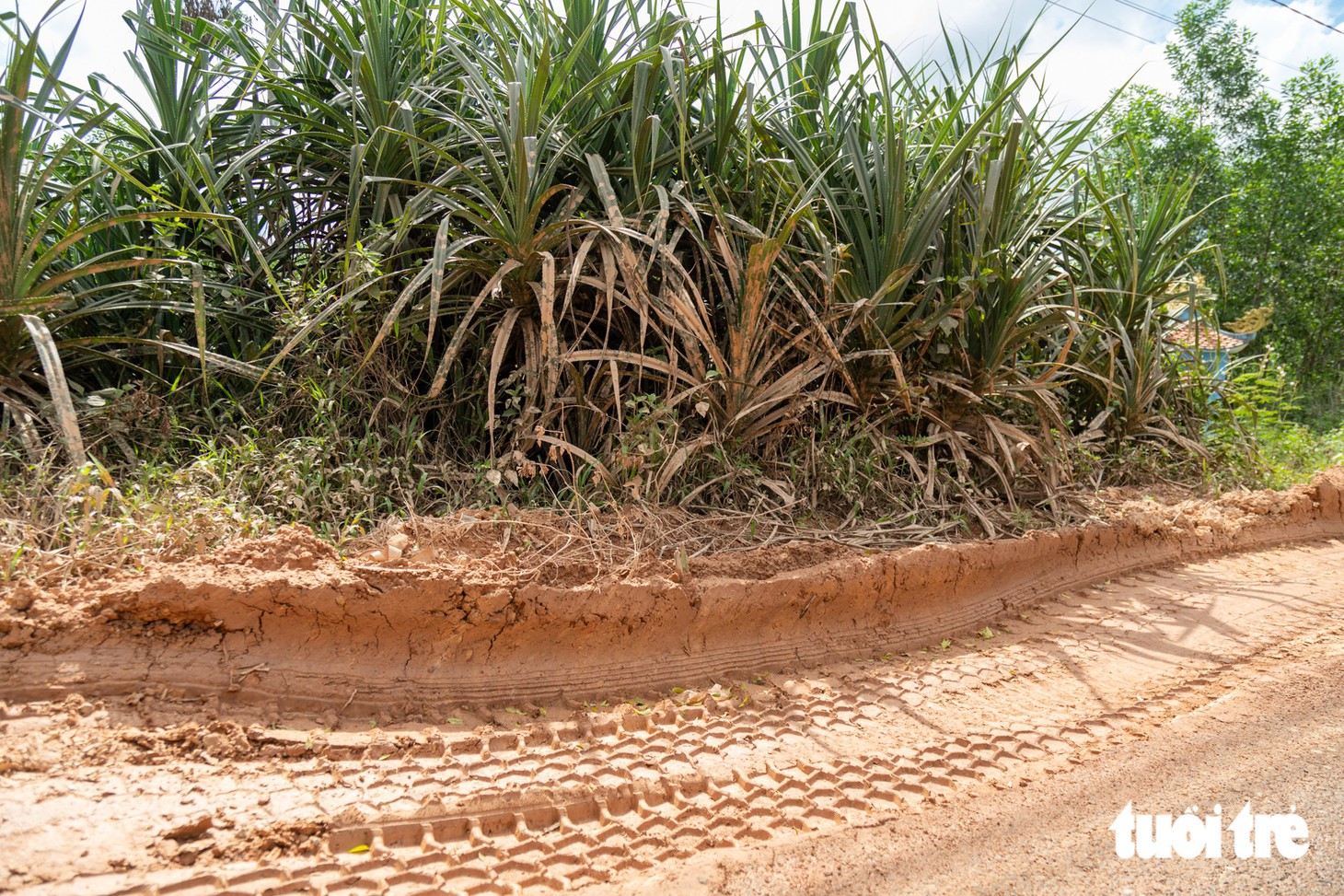 Học sinh nép sát hố bùn trên đường xe tải nối đuôi nhau chạy ngày đêm - Ảnh 4.