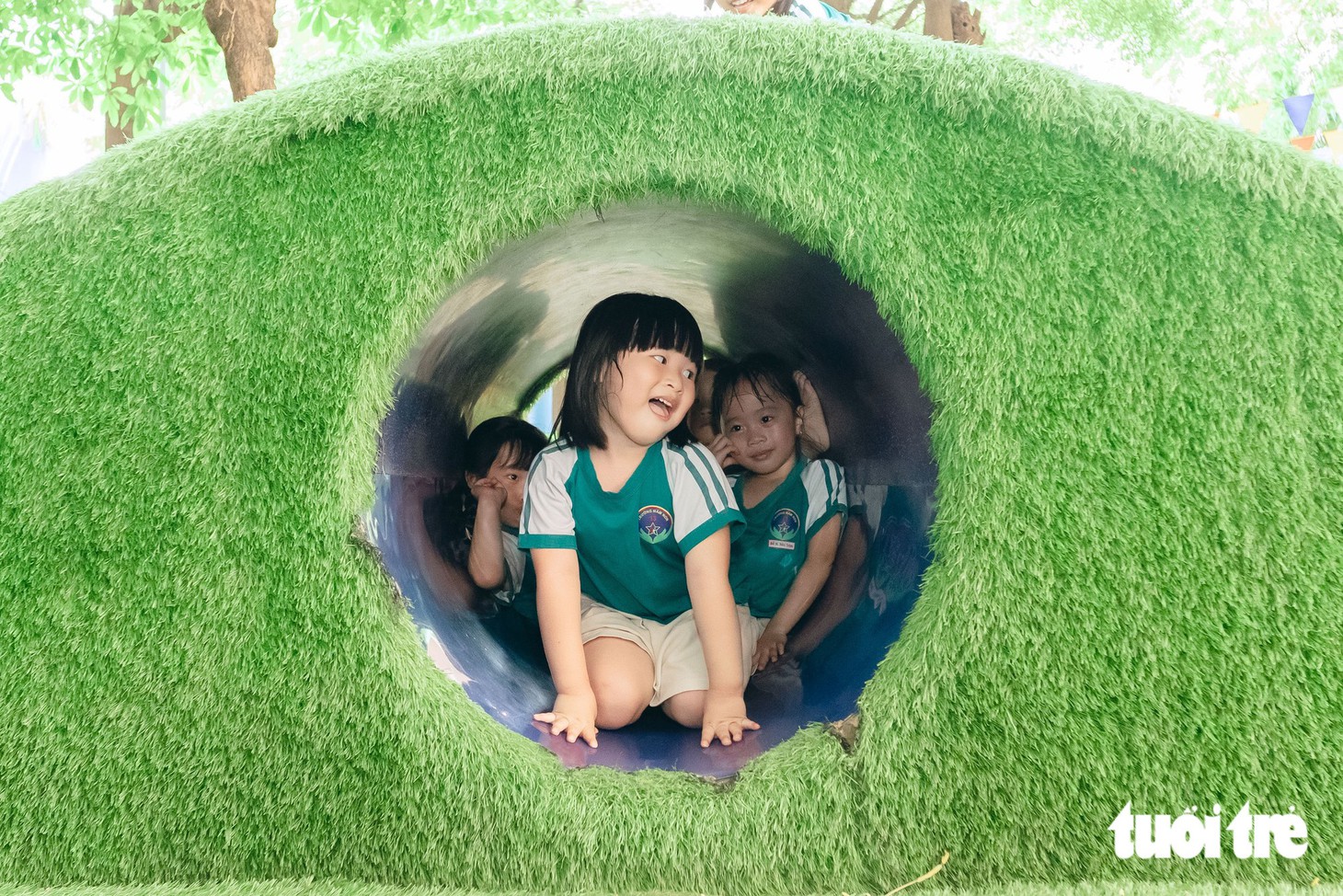 - Ảnh 5.