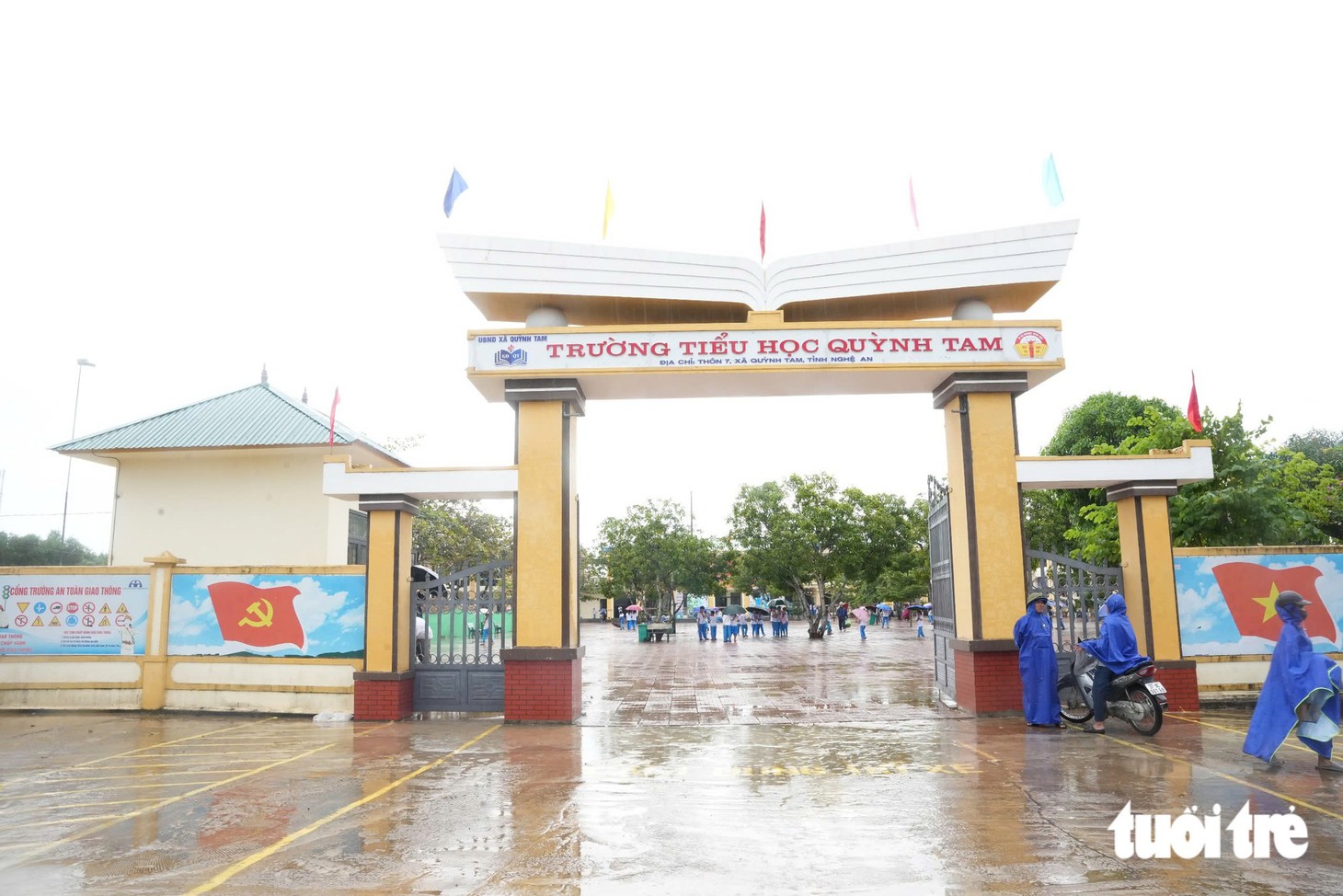 - Ảnh 8.