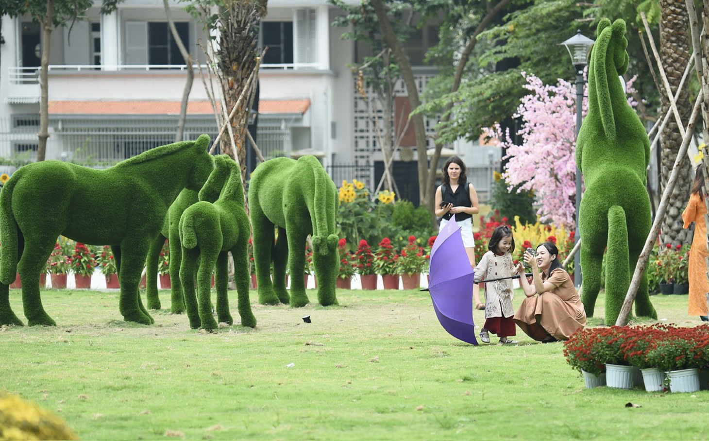 công viên - Ảnh 1.