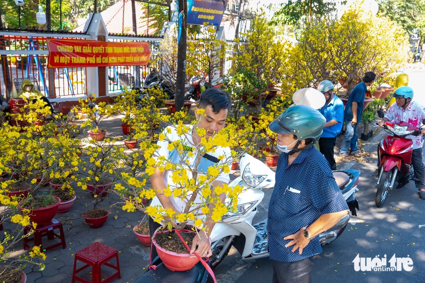 chợ hoa - Ảnh 4.