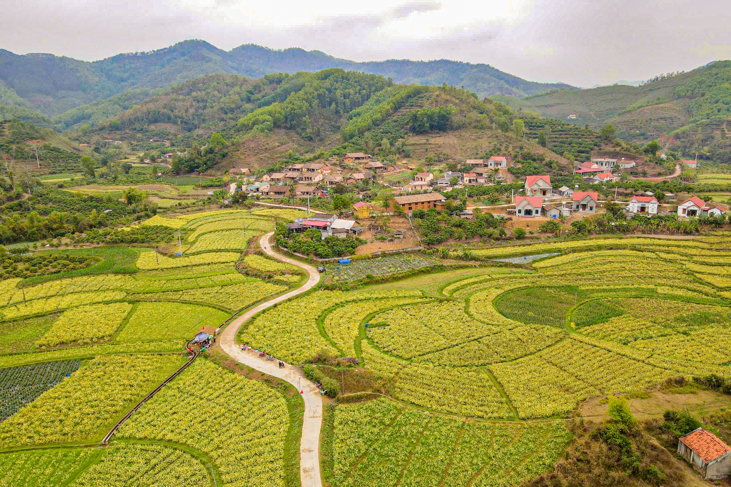 Bắc Hoa - Ảnh 7.